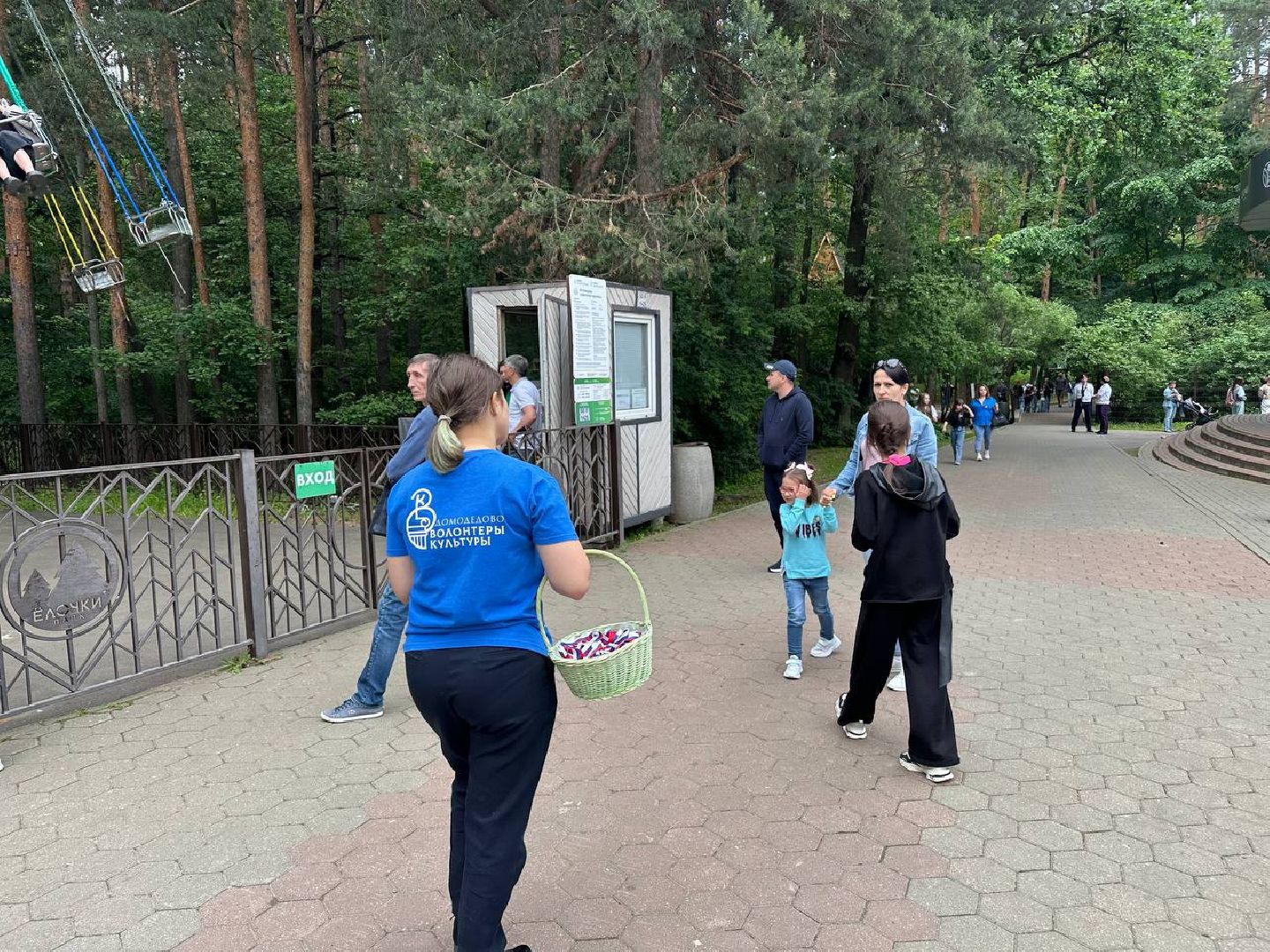 день россии, парки домодедово,