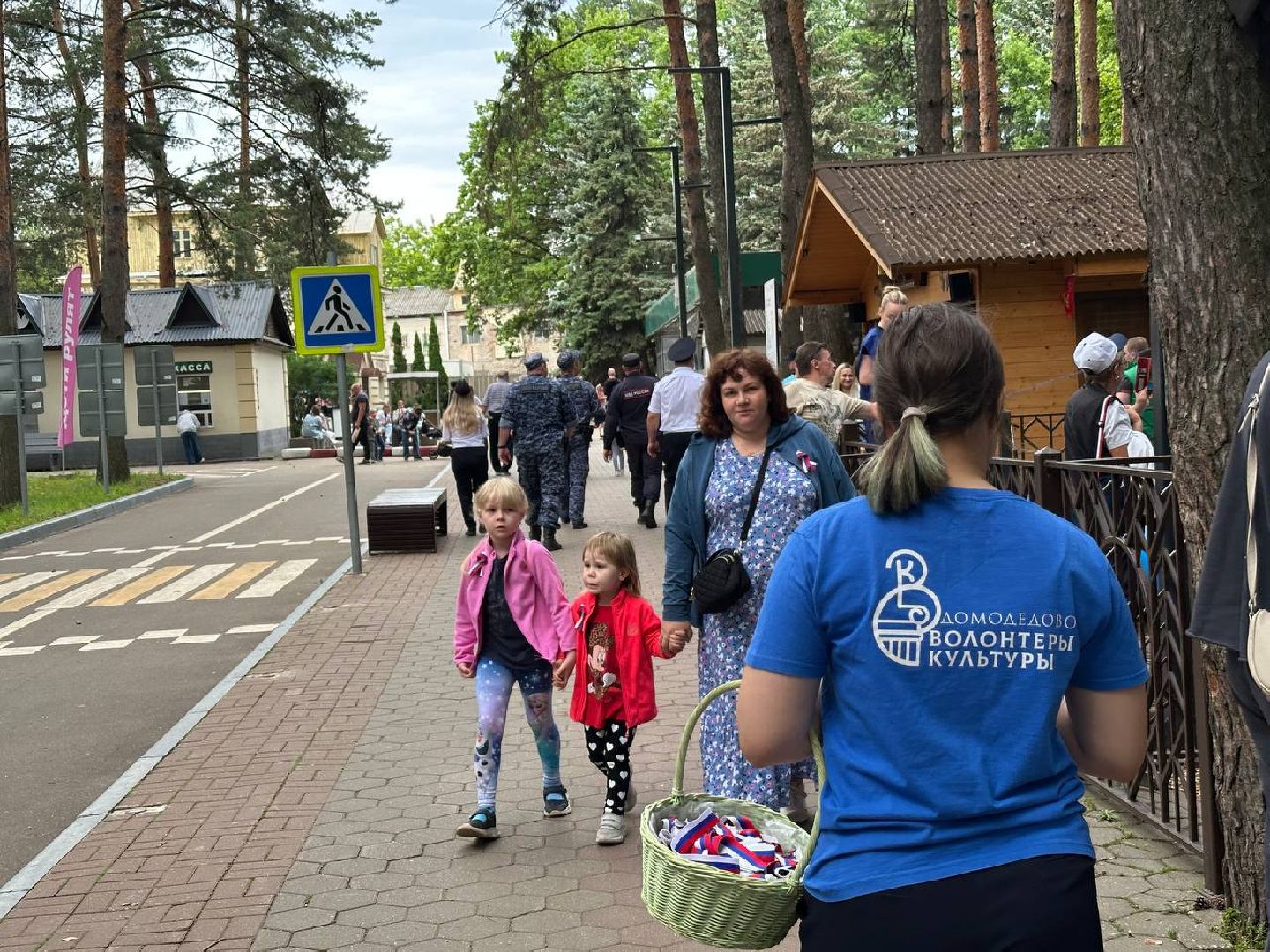 день россии, парки домодедово,