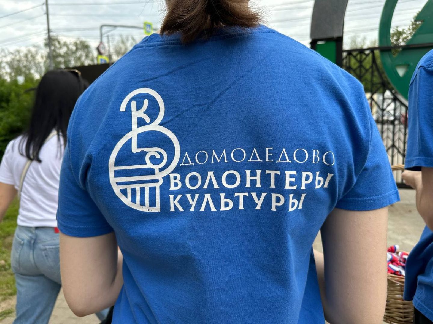 день россии, парки домодедово,