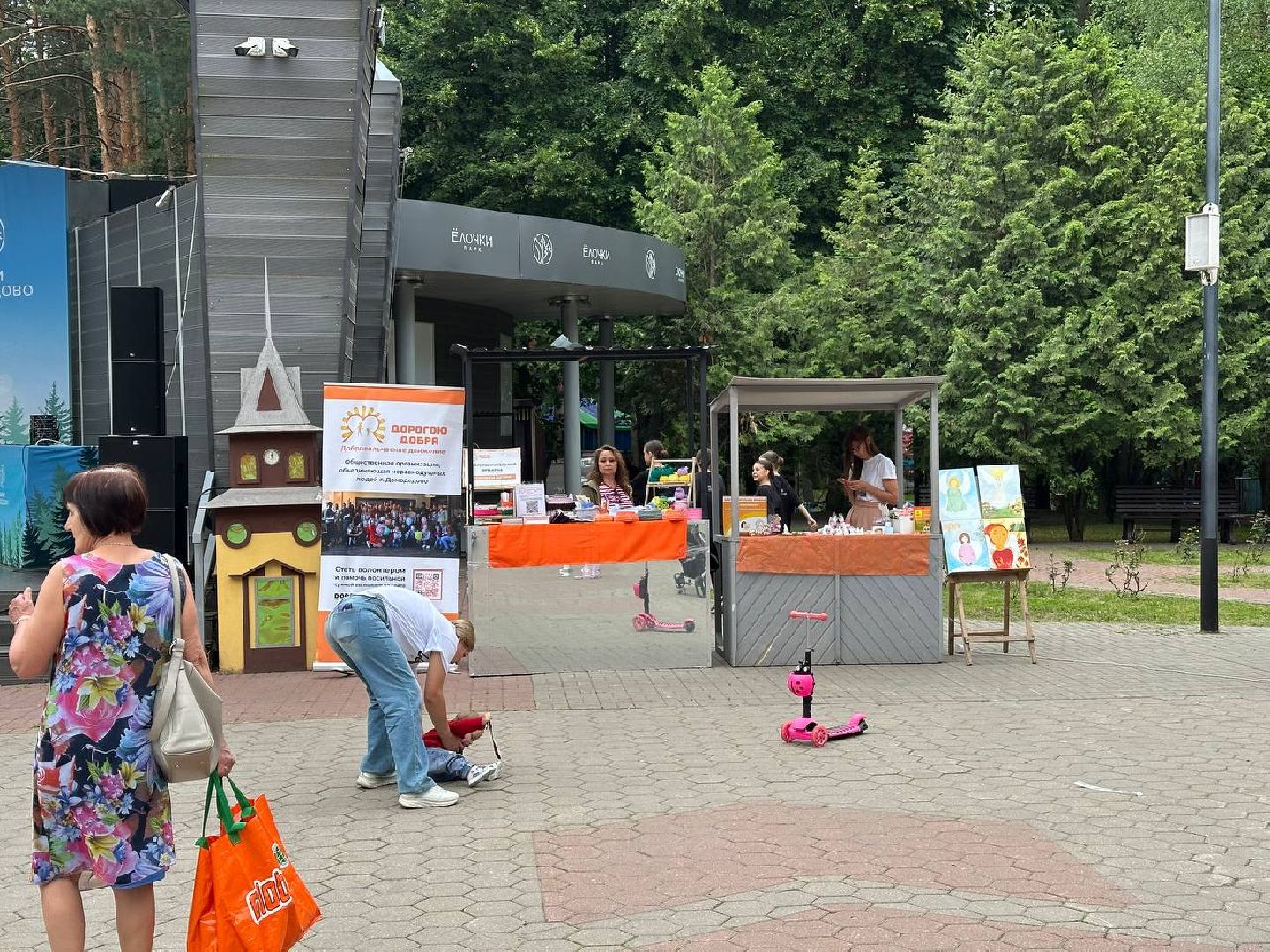 благотворительная акция,парки домодедово, день россии,