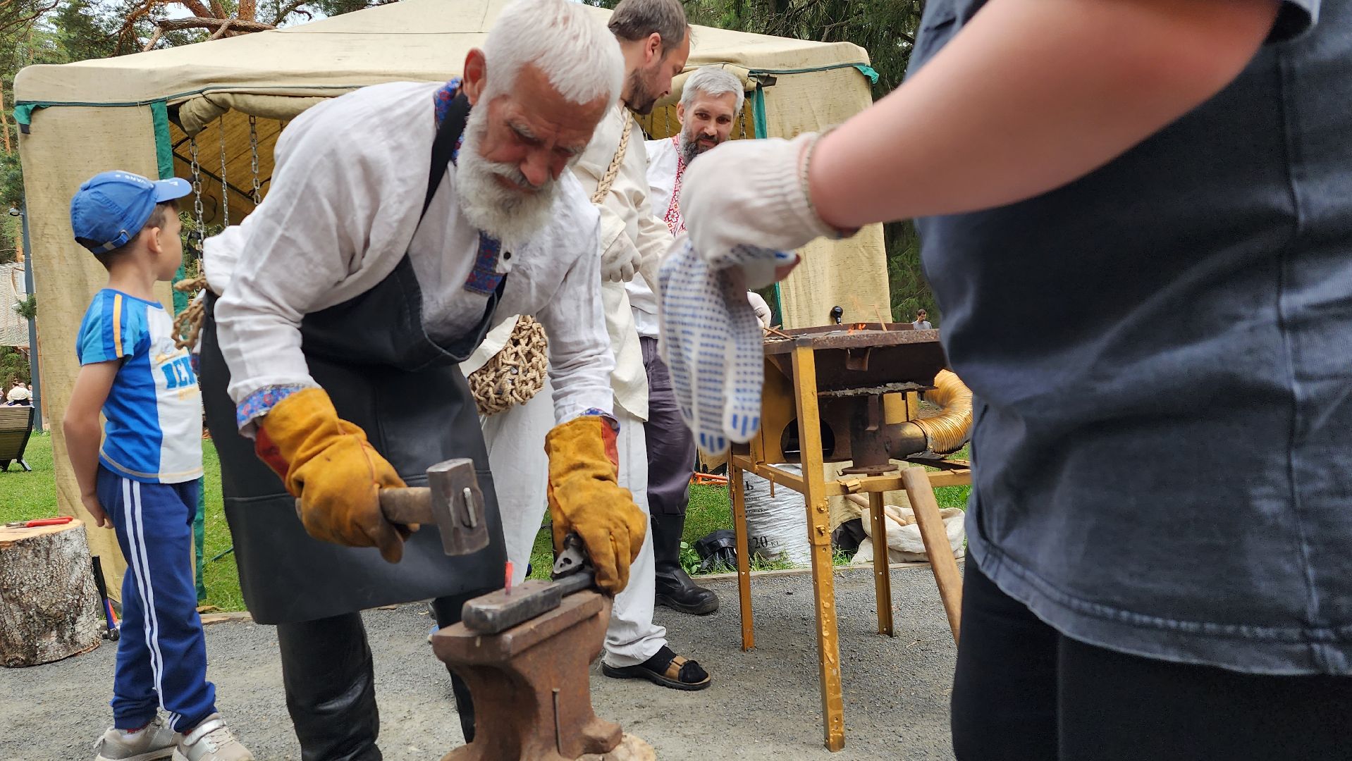 день россии, истра, парки,