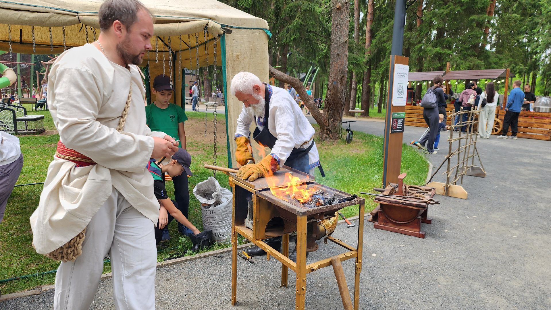 день россии, истра, парки,