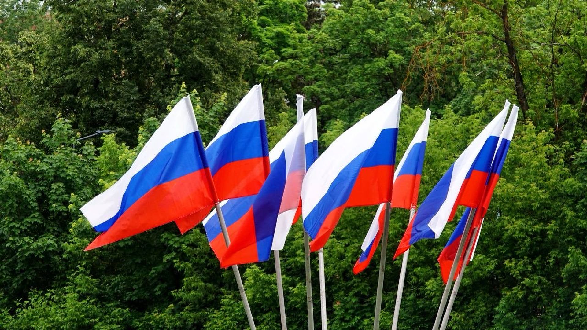 сергиев посад , сергиево-посадский городской округ, день россии, праздник , акция, флешмоб , триколор , флаг россии ,