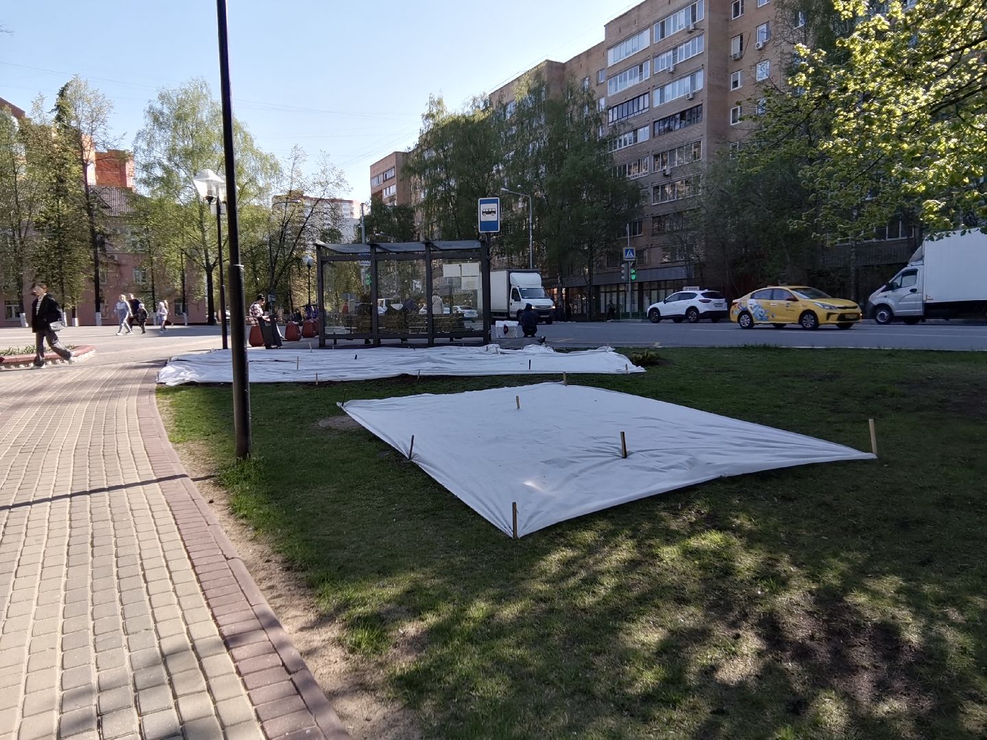 Балашиха, благоустройство, газоны, цветы, растения, сквер имени Ленина, бульвар Нестерова, 60 лет Октября