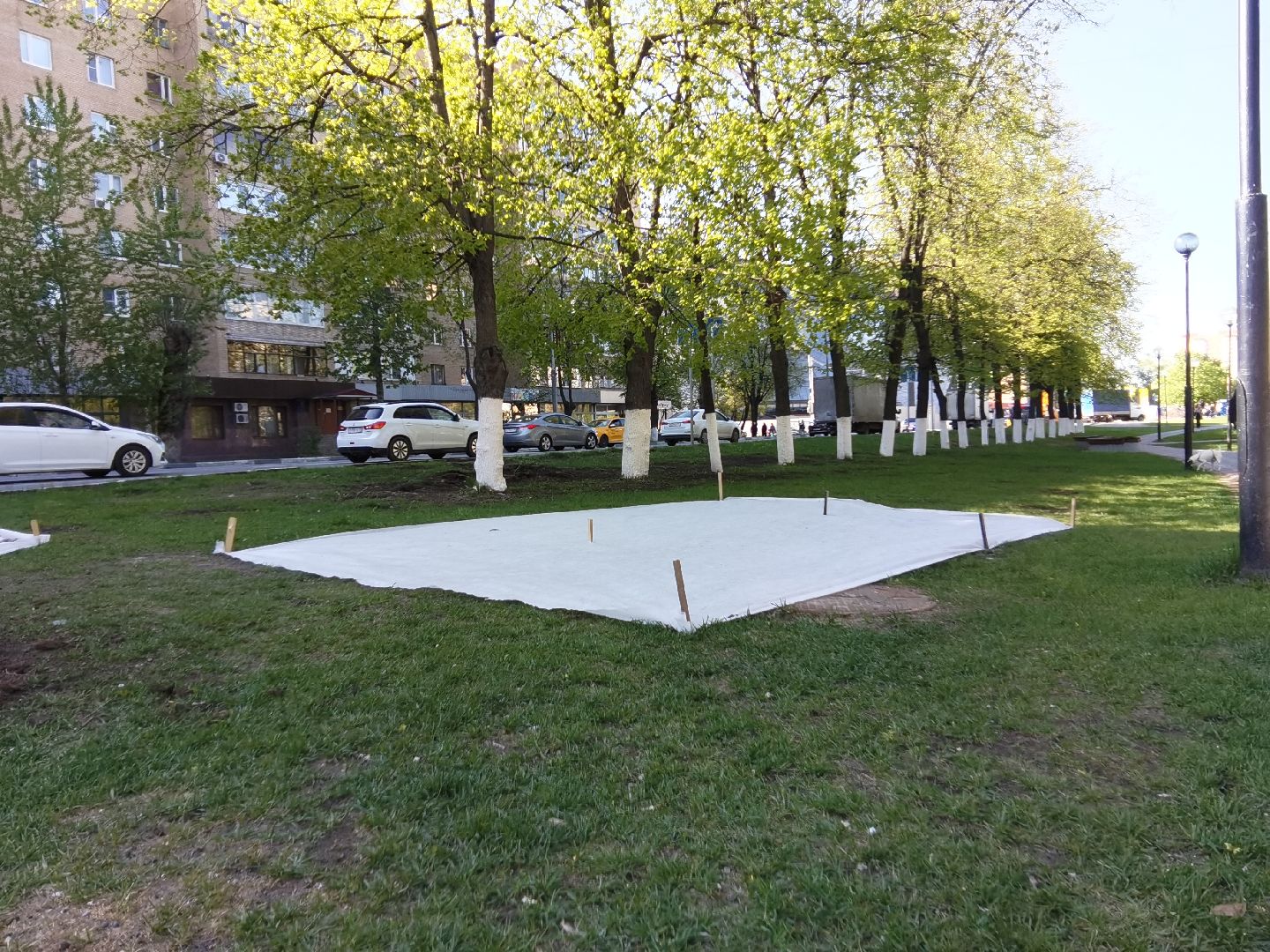 Балашиха, благоустройство, газоны, цветы, растения, сквер имени Ленина, бульвар Нестерова, 60 лет Октября