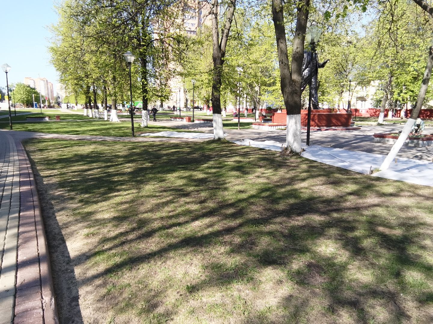 Балашиха, благоустройство, газоны, цветы, растения, сквер имени Ленина, бульвар Нестерова, 60 лет Октября