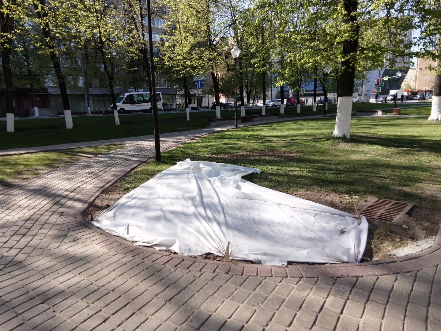 Балашиха, благоустройство, газоны, цветы, растения, сквер имени Ленина, бульвар Нестерова, 60 лет Октября