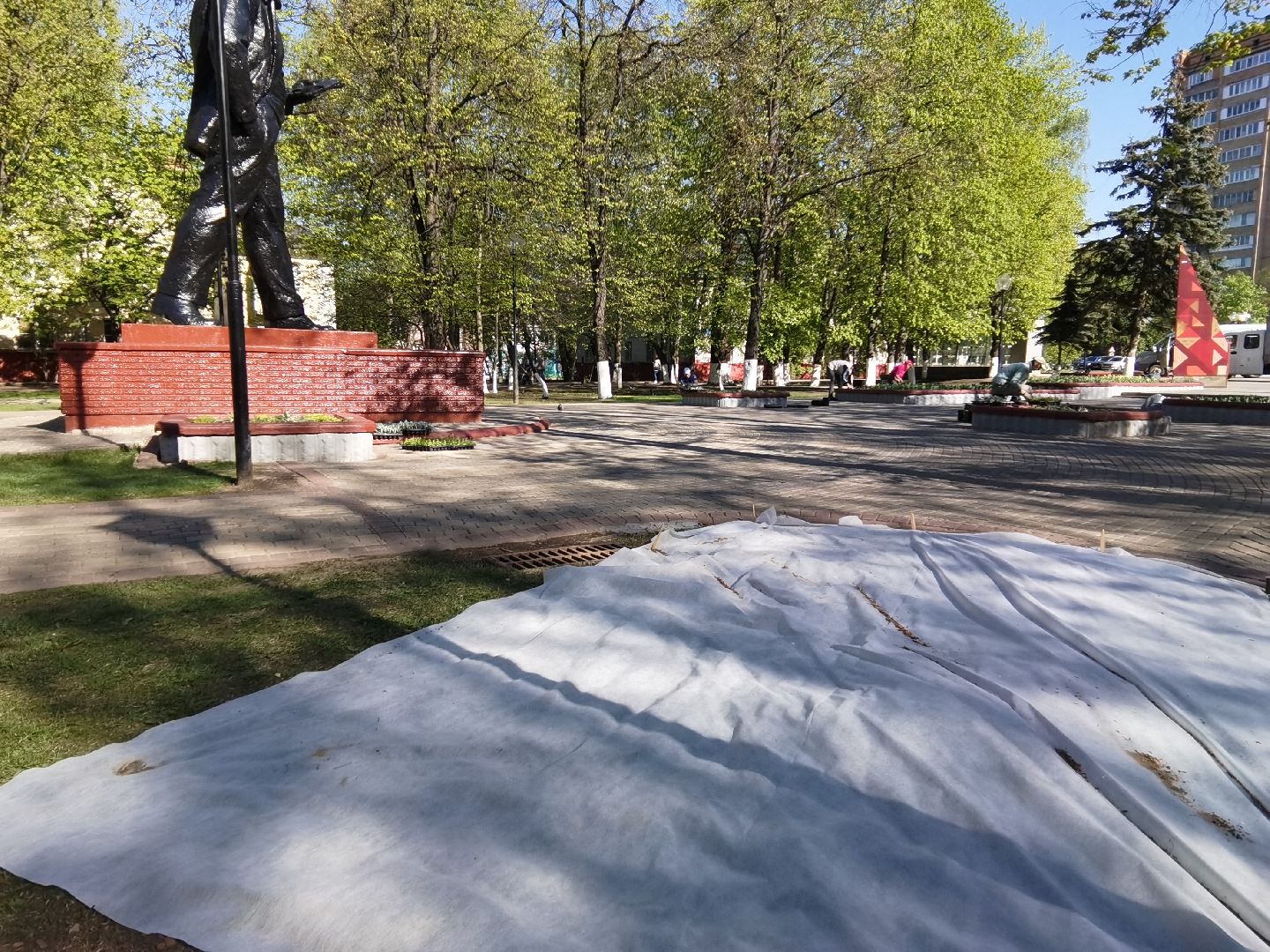 Балашиха, благоустройство, газоны, цветы, растения, сквер имени Ленина, бульвар Нестерова, 60 лет Октября