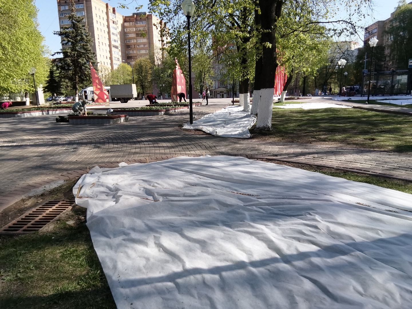 Балашиха, благоустройство, газоны, цветы, растения, сквер имени Ленина, бульвар Нестерова, 60 лет Октября