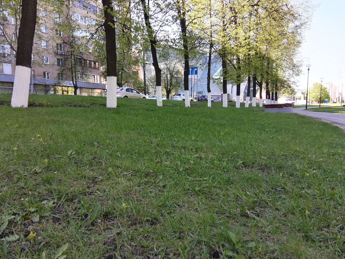 Балашиха, благоустройство, газоны, цветы, растения, сквер имени Ленина, бульвар Нестерова, 60 лет Октября