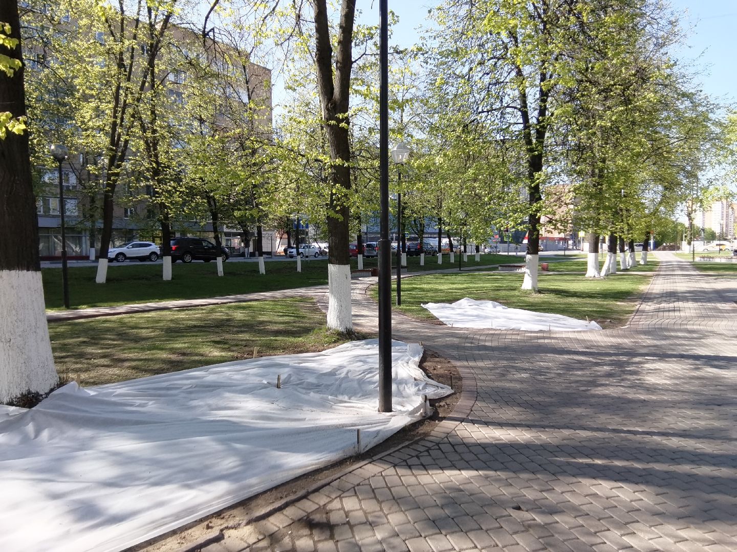 Балашиха, благоустройство, газоны, цветы, растения, сквер имени Ленина, бульвар Нестерова, 60 лет Октября