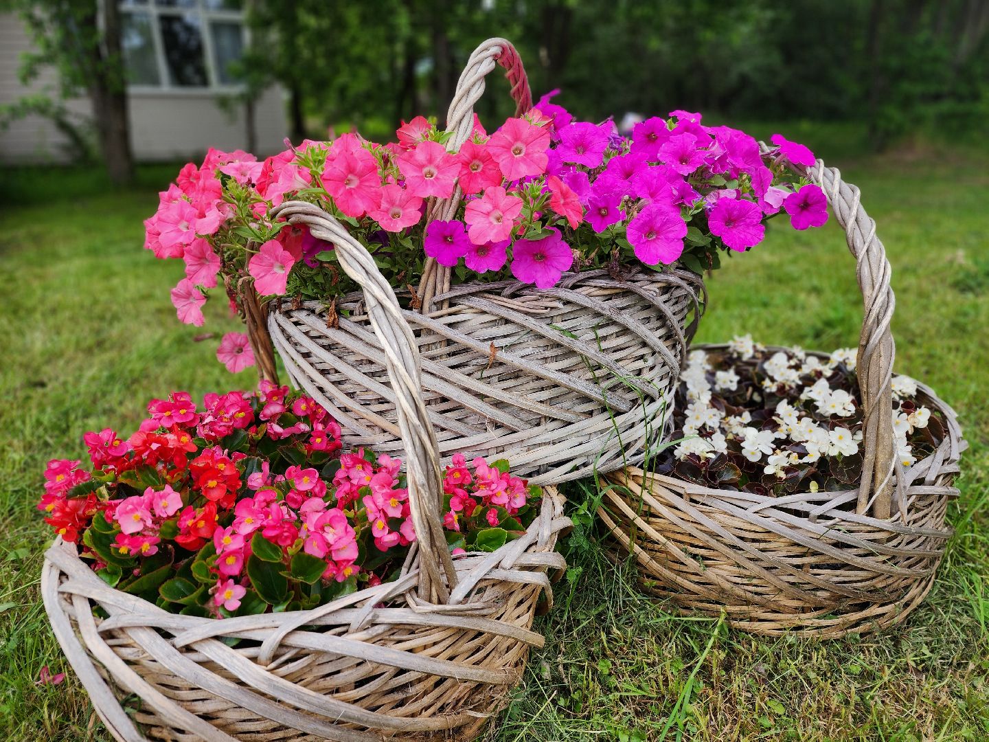 фрязино, усадьба гребнево, экскурсия, история россии, день россии,