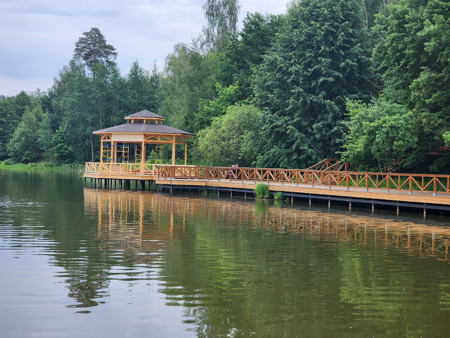 фрязино, усадьба гребнево, экскурсия, история россии, день россии,