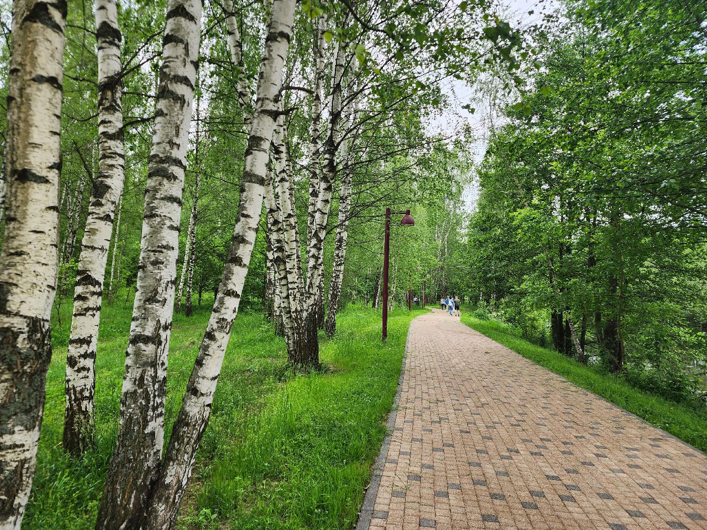 фрязино, усадьба гребнево, экскурсия, история россии, день россии,