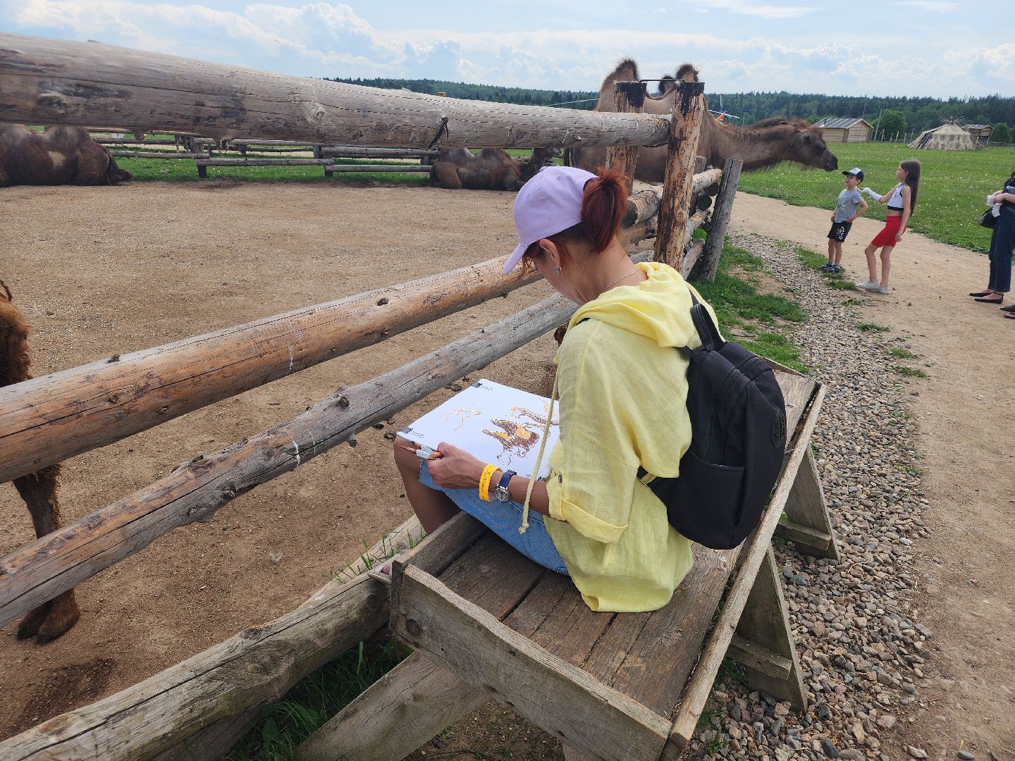 сергиево-посадский городской округ, абрамцевский колледж, колледж абрамцево, пленэр, студенты абрамцевского колледжа,кочевник, верблюжья ферма,