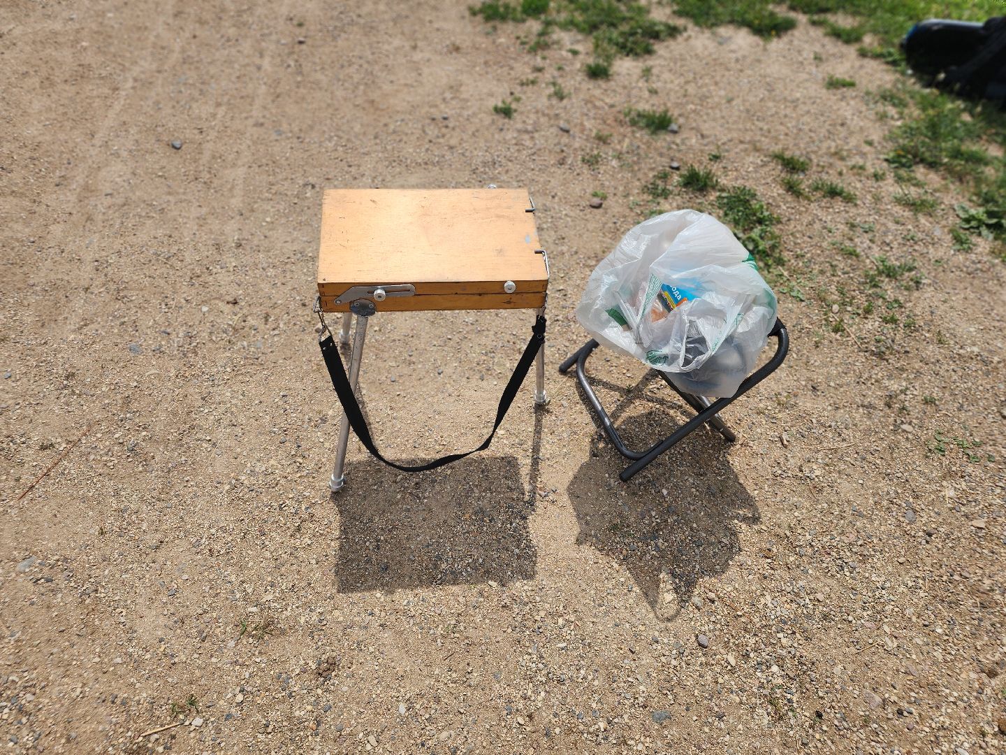 сергиево-посадский городской округ, абрамцевский колледж, колледж абрамцево, пленэр, студенты абрамцевского колледжа,кочевник, верблюжья ферма,