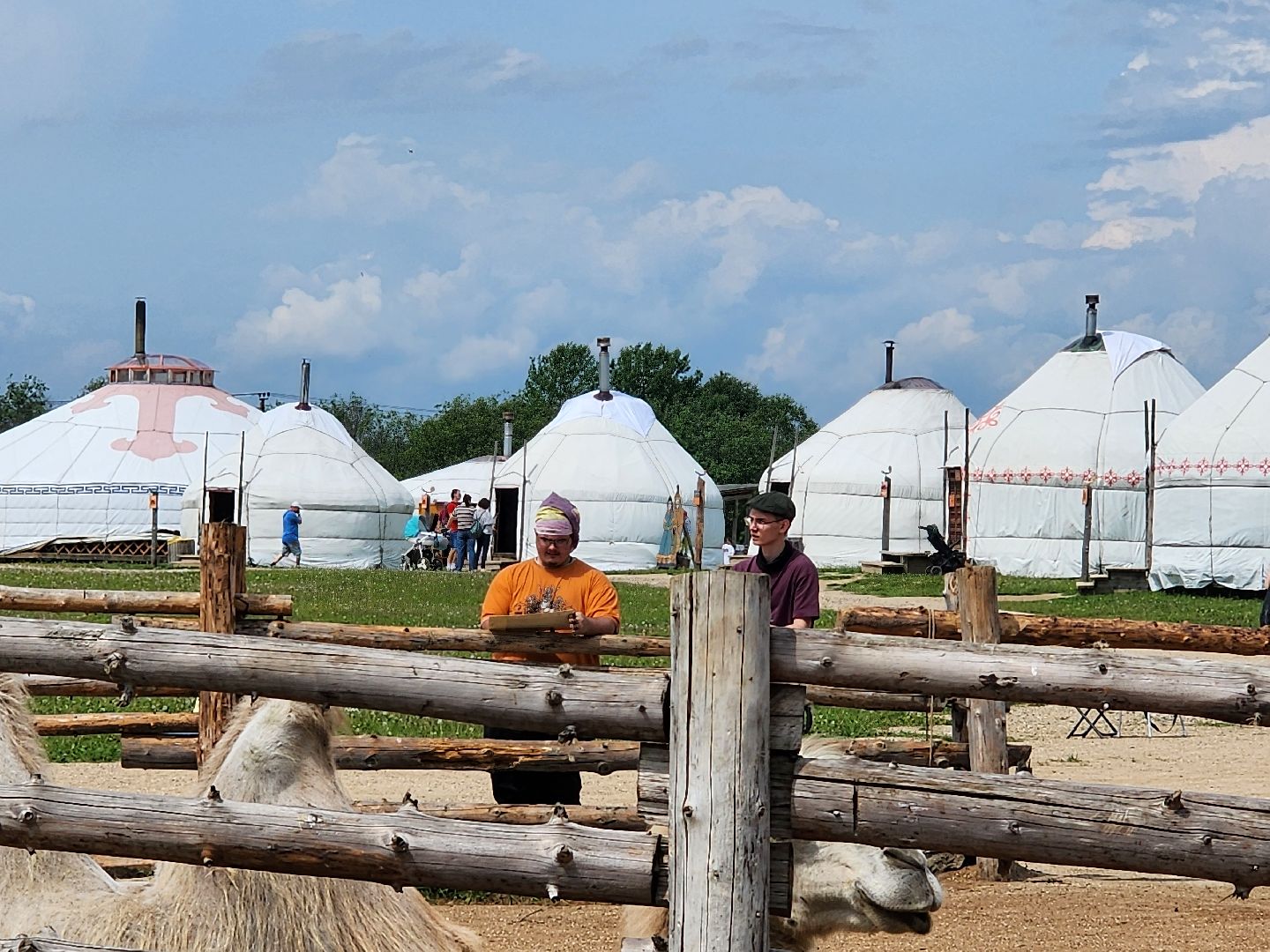 сергиево-посадский городской округ, абрамцевский колледж, колледж абрамцево, пленэр, студенты абрамцевского колледжа,кочевник, верблюжья ферма,