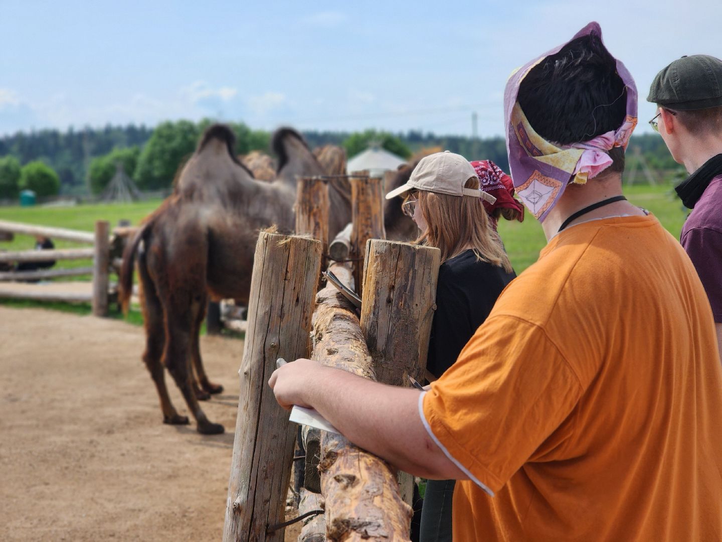 сергиево-посадский городской округ, абрамцевский колледж, колледж абрамцево, пленэр, студенты абрамцевского колледжа,кочевник, верблюжья ферма,