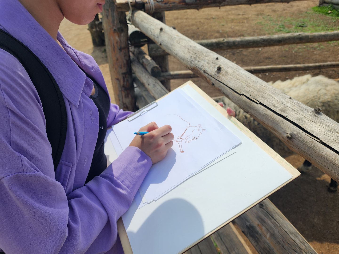 сергиево-посадский городской округ, абрамцевский колледж, колледж абрамцево, пленэр, студенты абрамцевского колледжа,кочевник, верблюжья ферма,