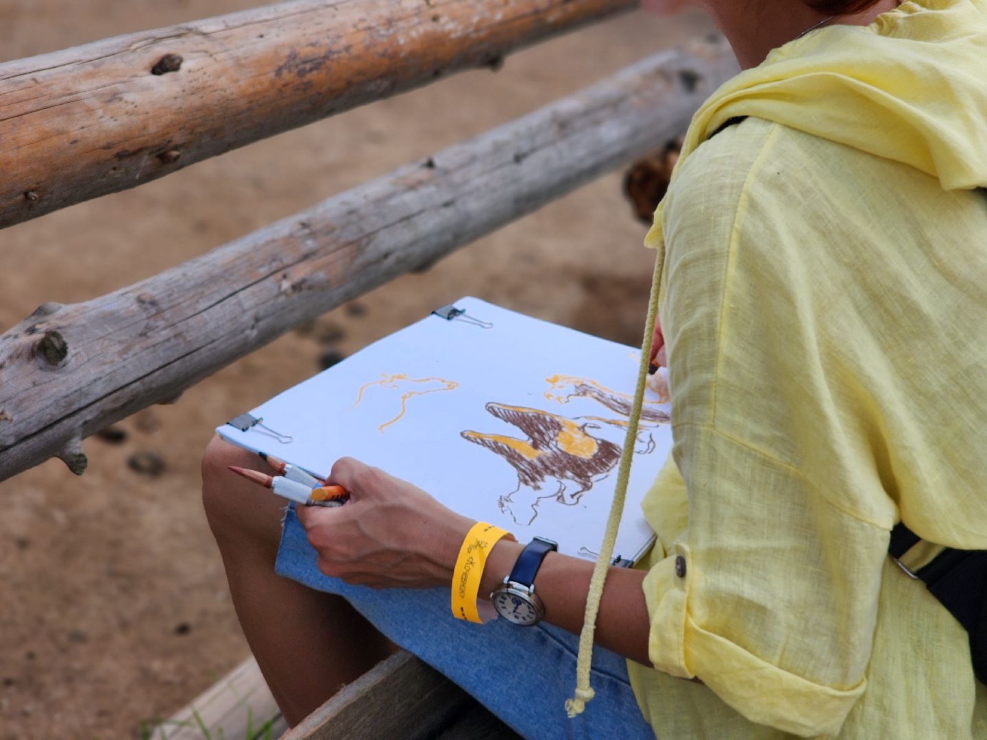 сергиево-посадский городской округ, абрамцевский колледж, колледж абрамцево, пленэр, студенты абрамцевского колледжа,кочевник, верблюжья ферма,