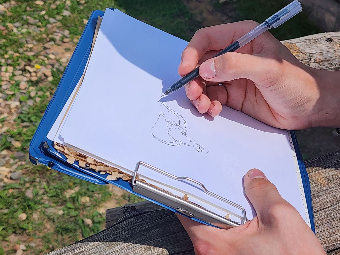 сергиево-посадский городской округ, абрамцевский колледж, колледж абрамцево, пленэр, студенты абрамцевского колледжа,кочевник, верблюжья ферма,