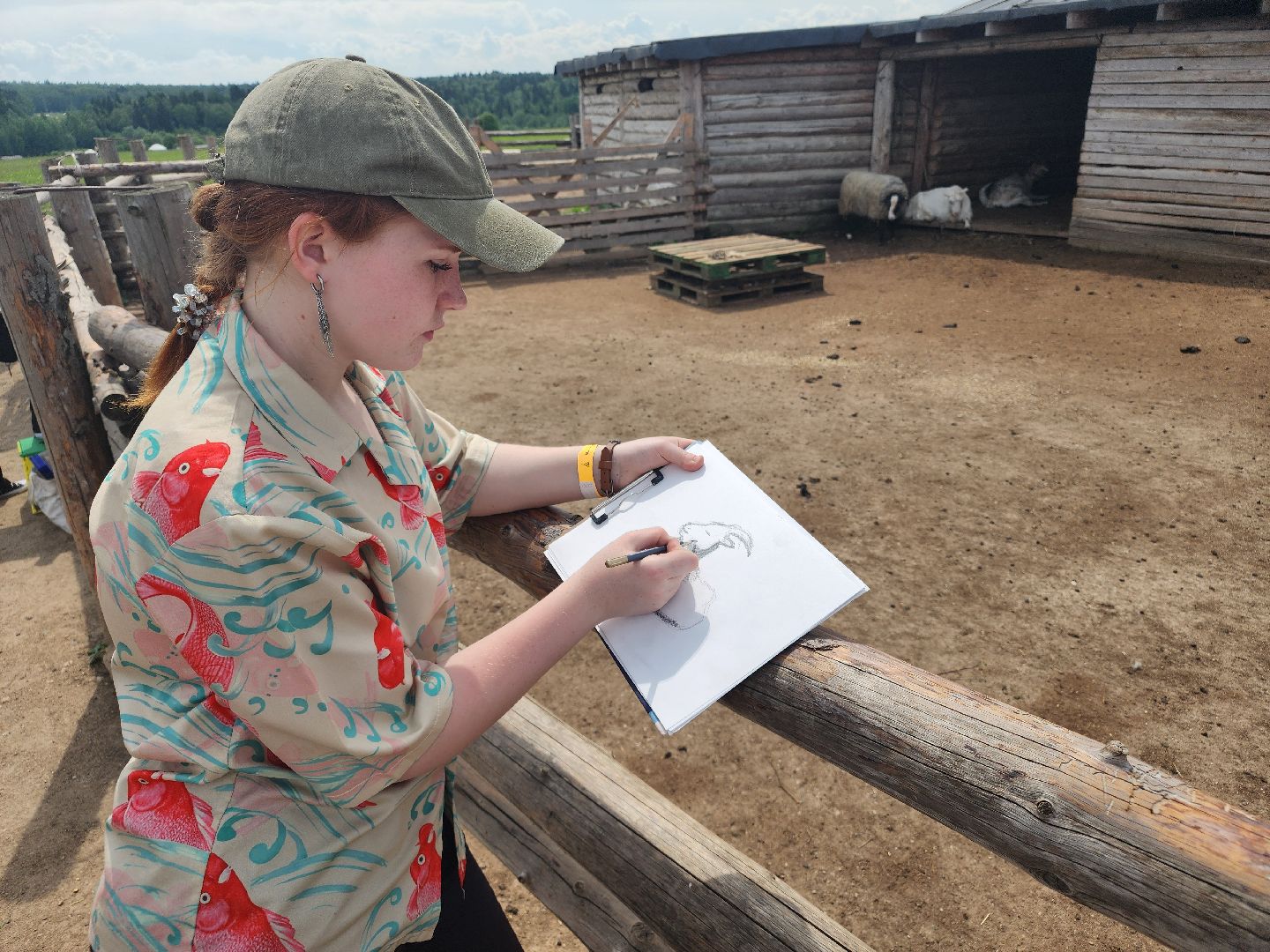сергиево-посадский городской округ, абрамцевский колледж, колледж абрамцево, пленэр, студенты абрамцевского колледжа,кочевник, верблюжья ферма,
