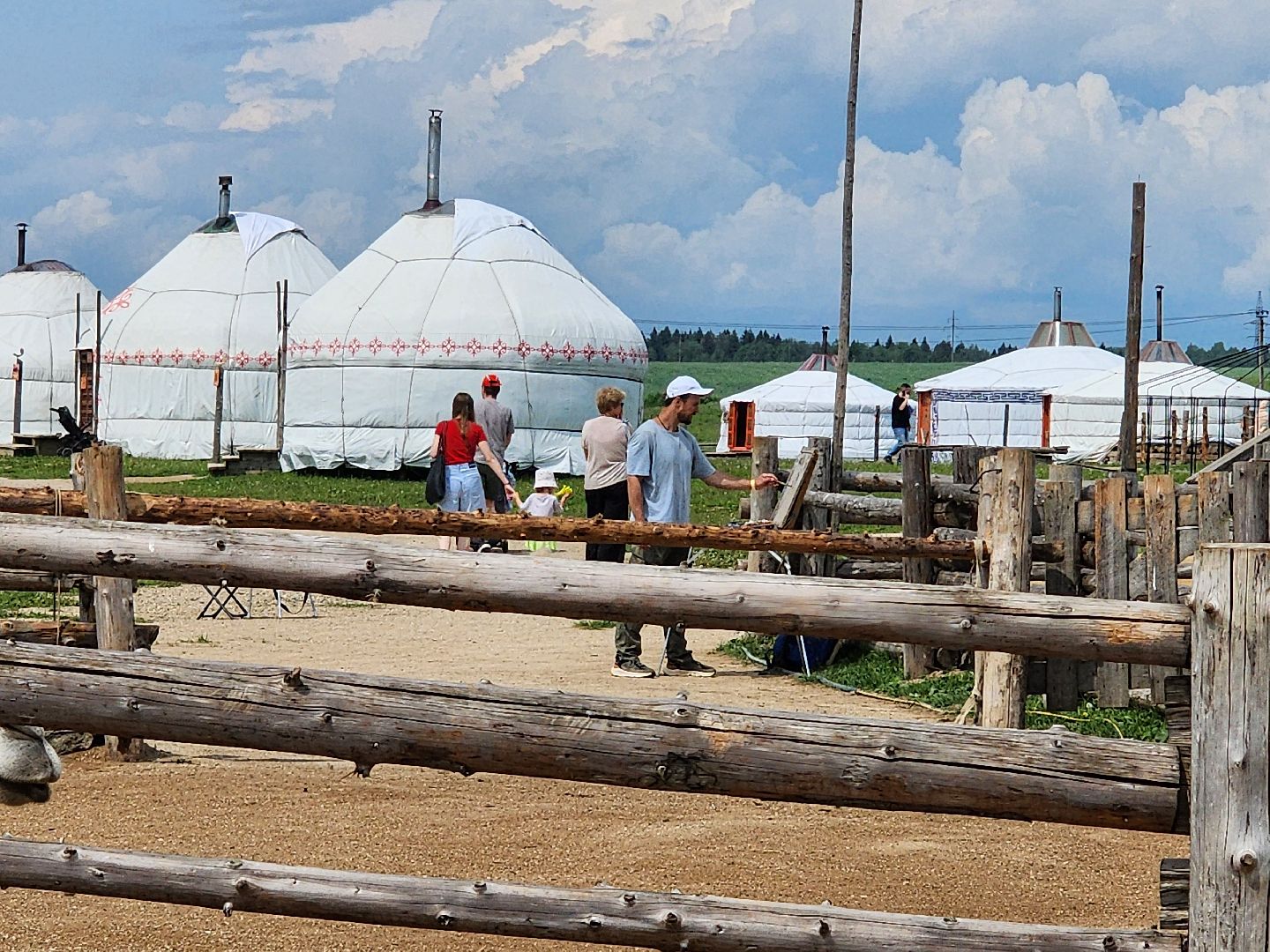 сергиево-посадский городской округ, абрамцевский колледж, колледж абрамцево, пленэр, студенты абрамцевского колледжа,кочевник, верблюжья ферма,