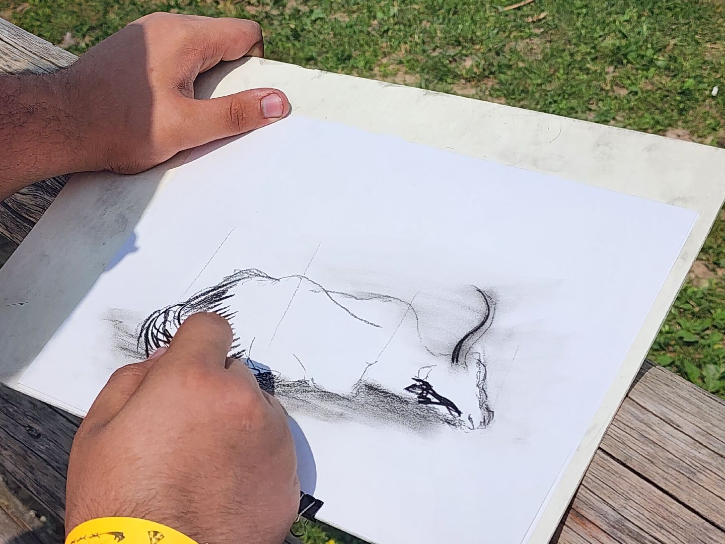 сергиево-посадский городской округ, абрамцевский колледж, колледж абрамцево, пленэр, студенты абрамцевского колледжа,кочевник, верблюжья ферма,