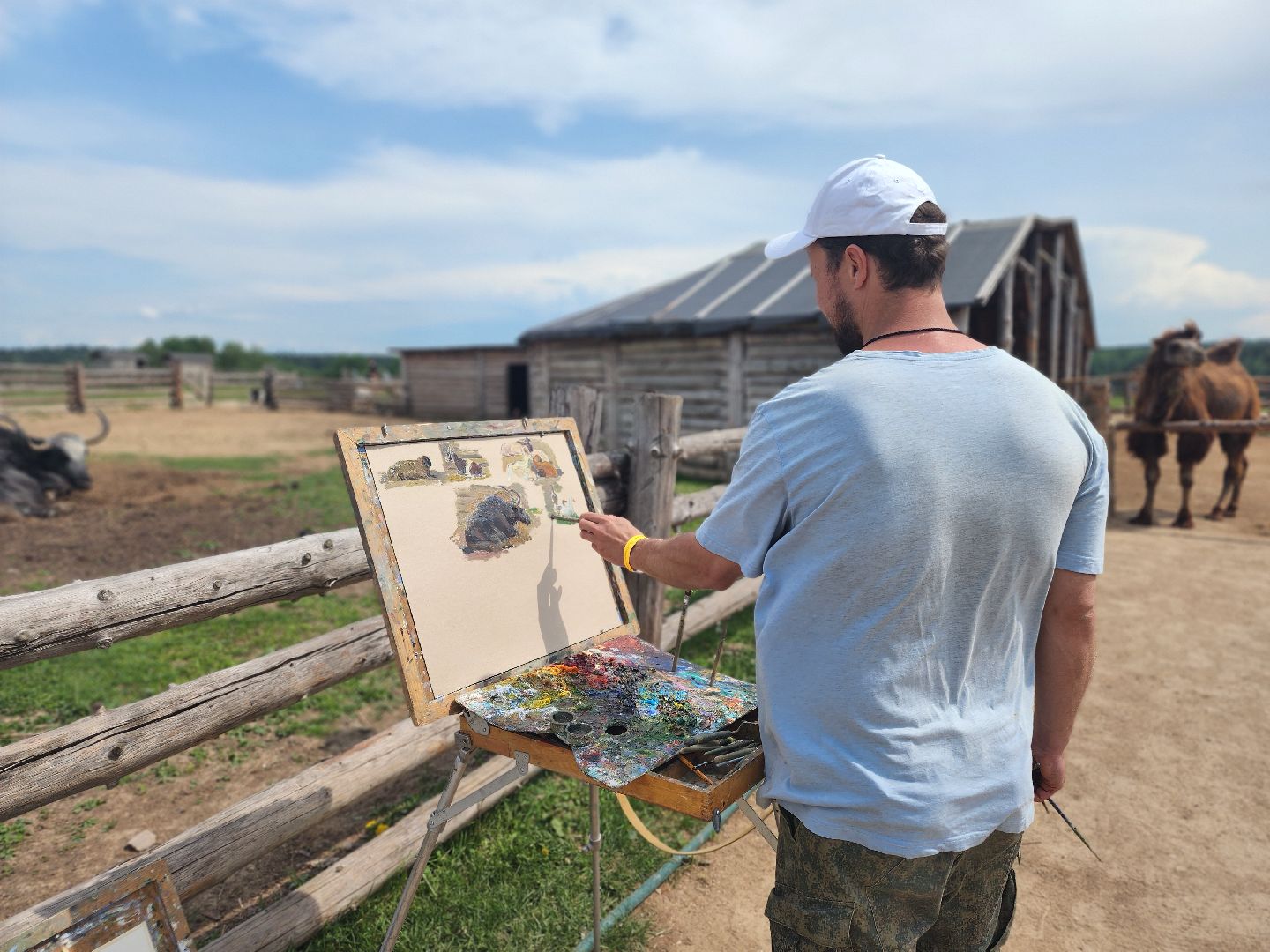 сергиево-посадский городской округ, абрамцевский колледж, колледж абрамцево, пленэр, студенты абрамцевского колледжа,кочевник, верблюжья ферма,