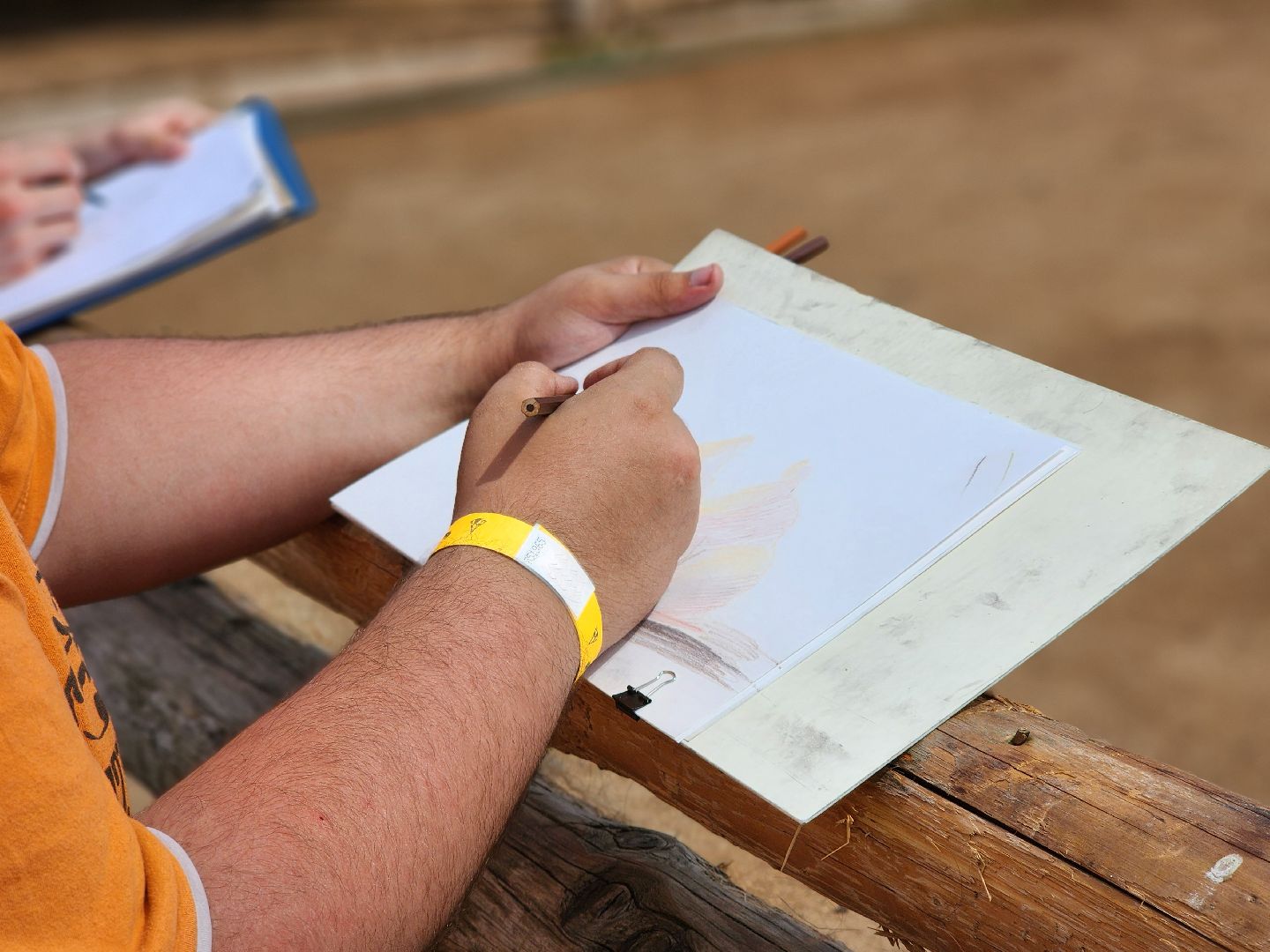сергиево-посадский городской округ, абрамцевский колледж, колледж абрамцево, пленэр, студенты абрамцевского колледжа,кочевник, верблюжья ферма,