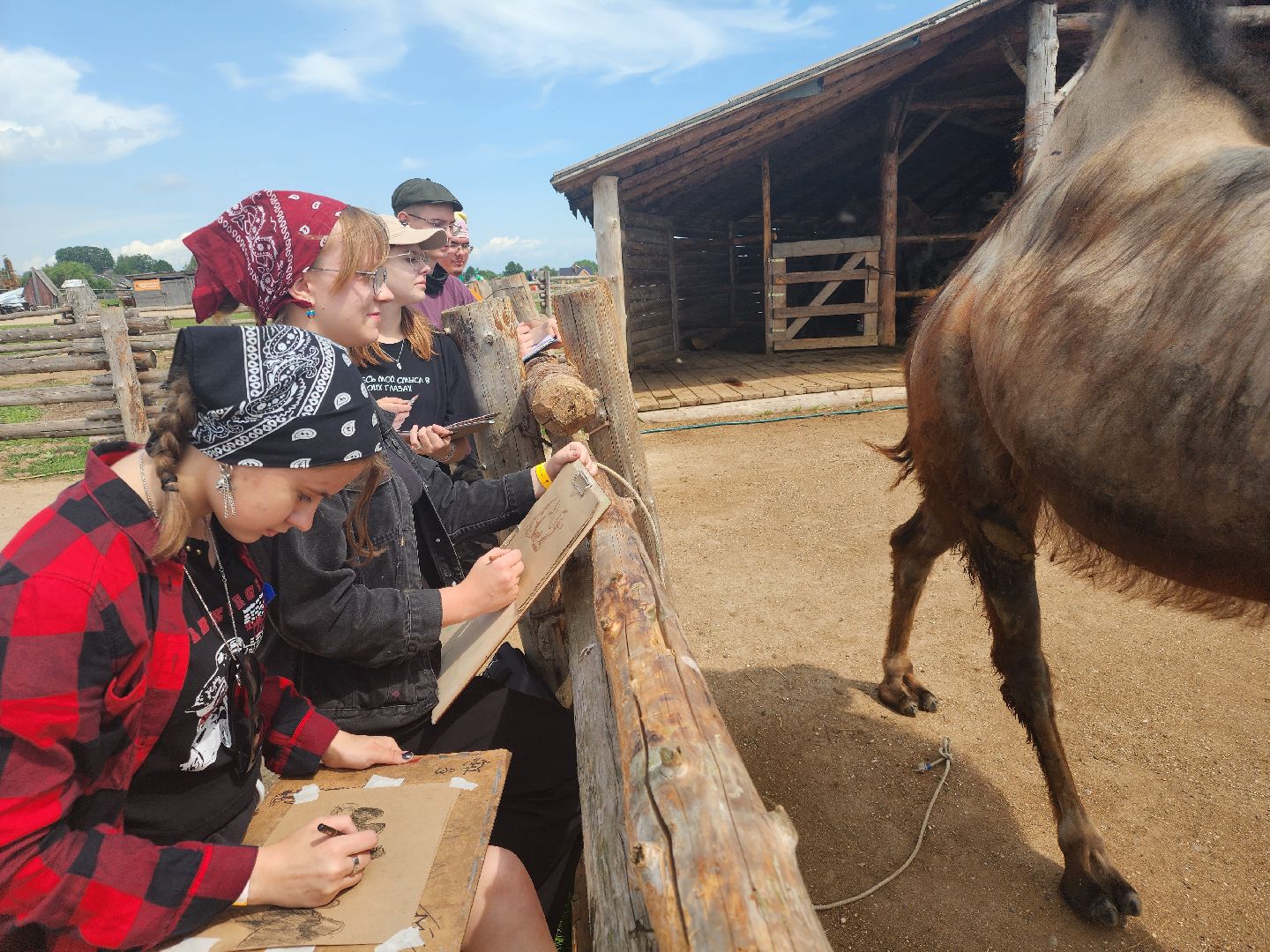 сергиево-посадский городской округ, абрамцевский колледж, колледж абрамцево, пленэр, студенты абрамцевского колледжа,кочевник, верблюжья ферма,