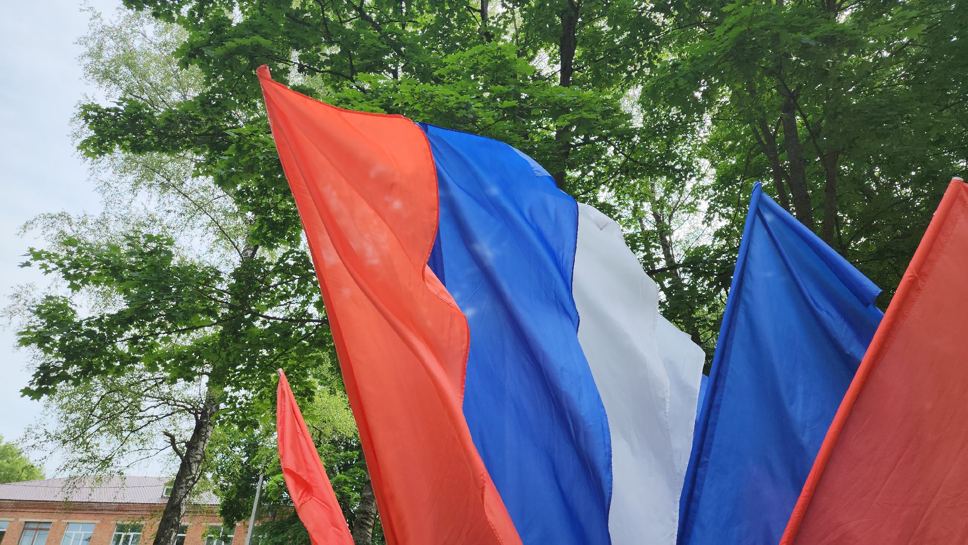 шествие, щёлково, день россии, флаг россии,