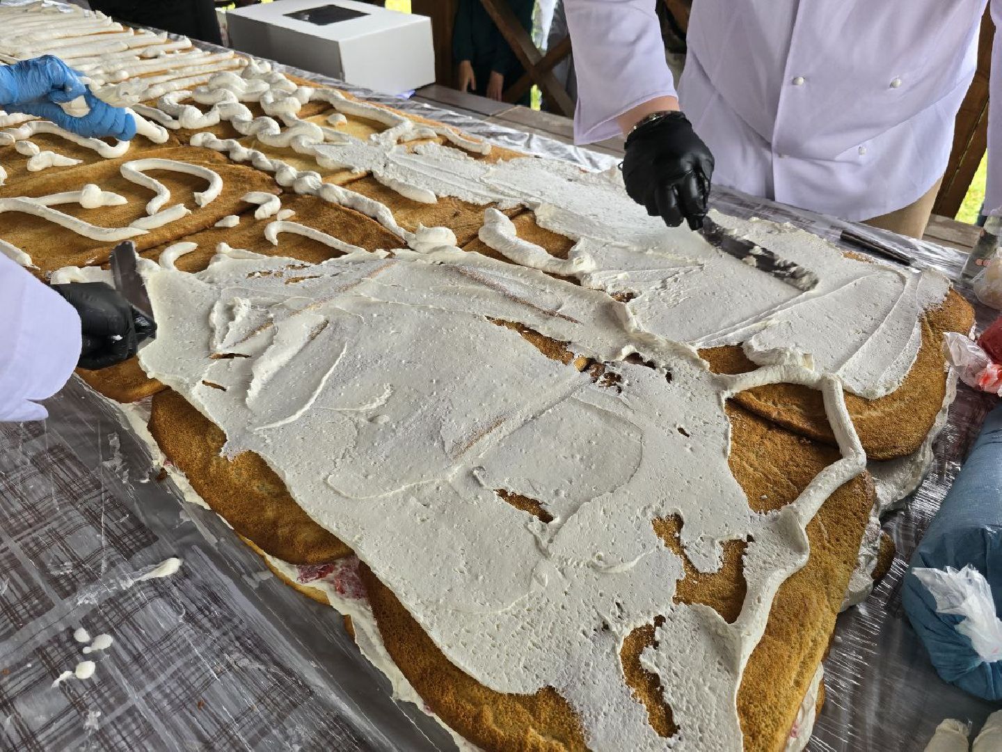 можайск, можайский муниципальный округ, подмосковье, день россии, торт, десерт под открытым небом, Александр Богачев,