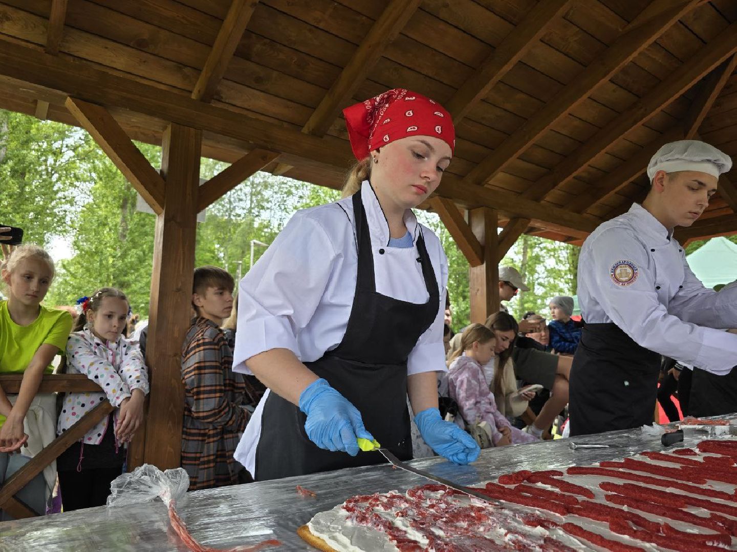 можайск, можайский муниципальный округ, подмосковье, день россии, торт, десерт под открытым небом, Александр Богачев,