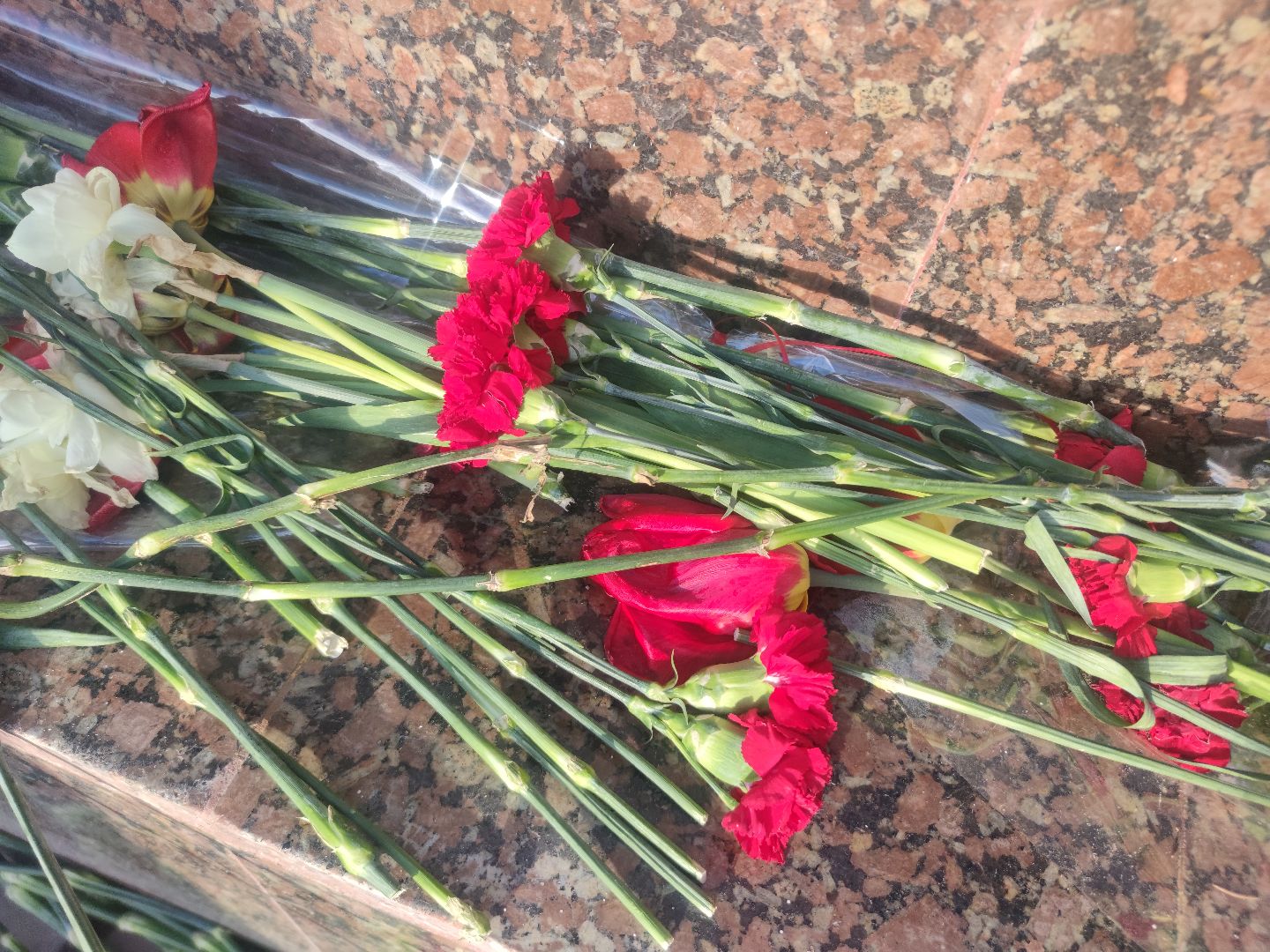 памятник, реставрация, благоустройство, Дубна