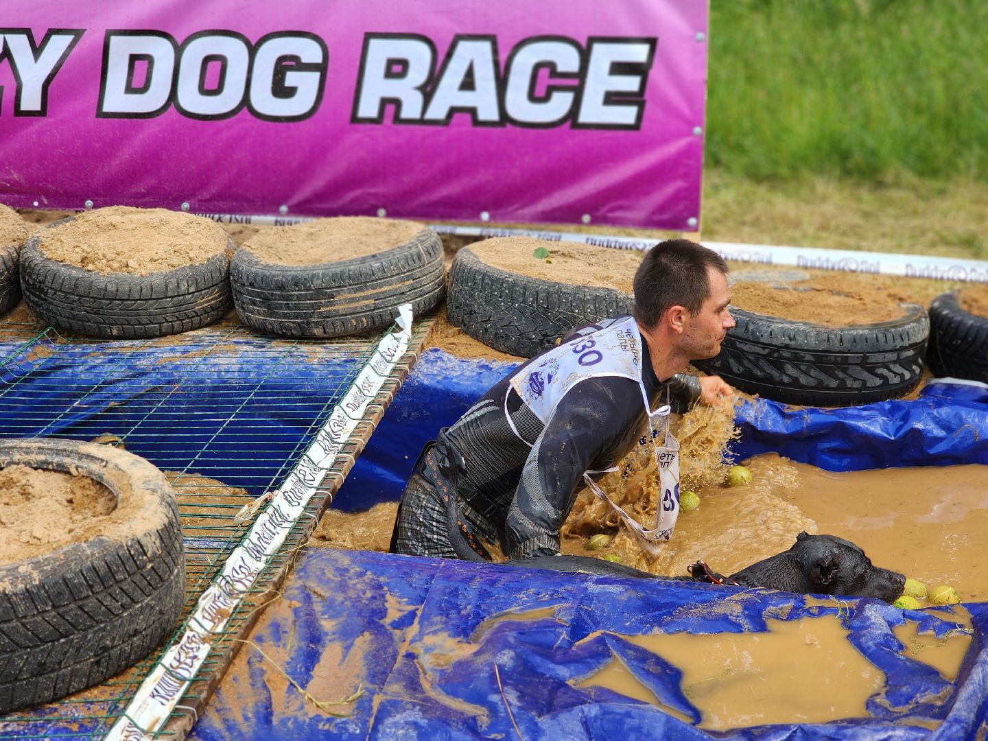 забег с собаками, crazy dog race,  хвостатый драйв, старая купавна, богородский городской округ,