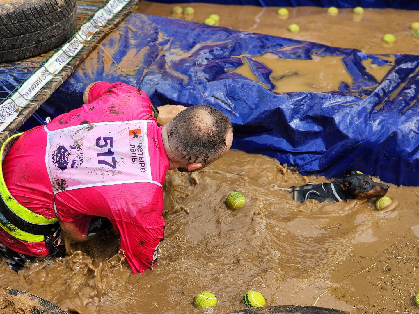 забег с собаками, crazy dog race,  хвостатый драйв, старая купавна, богородский городской округ,