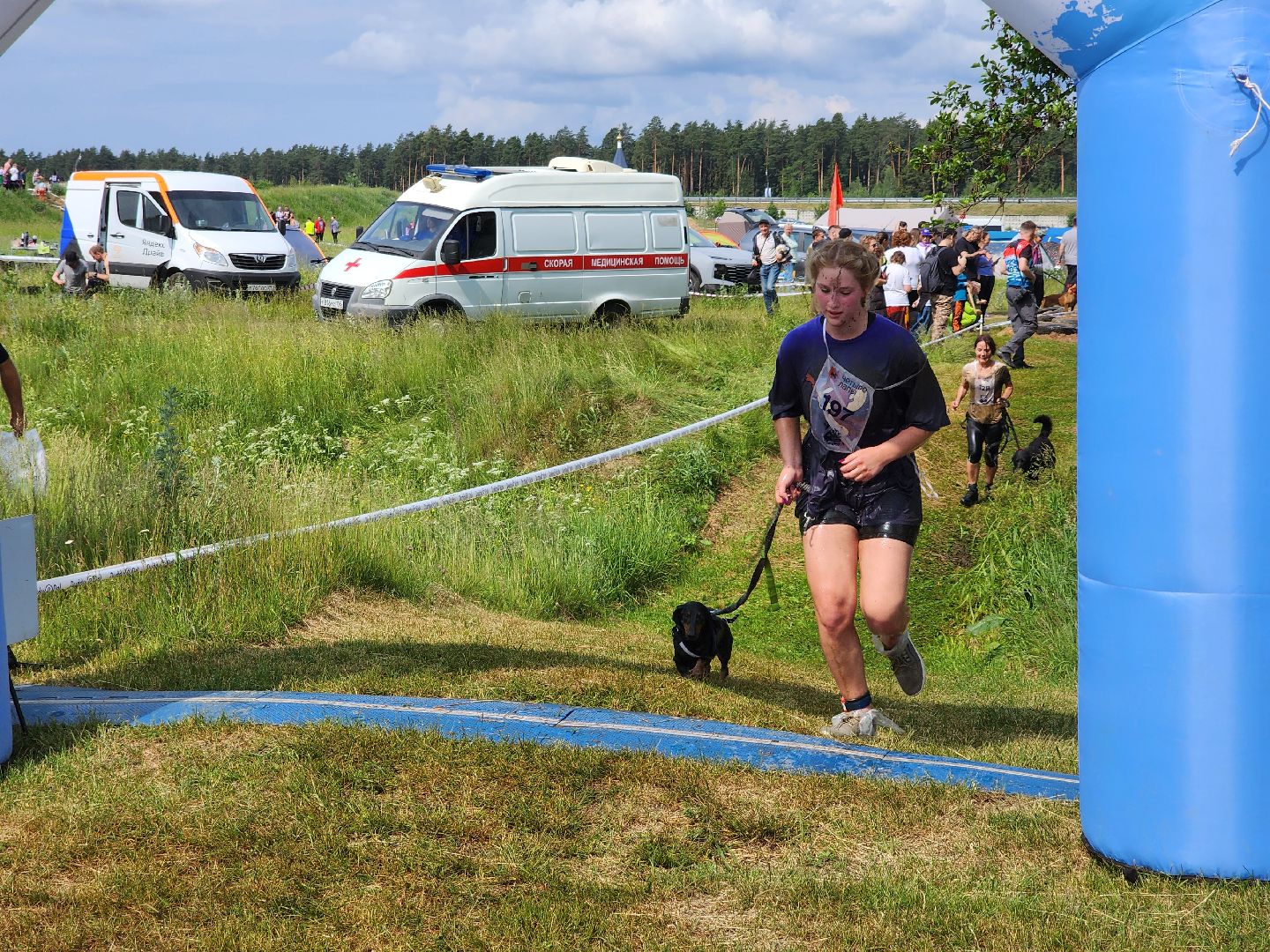 забег с собаками, crazy dog race,  хвостатый драйв, старая купавна, богородский городской округ,