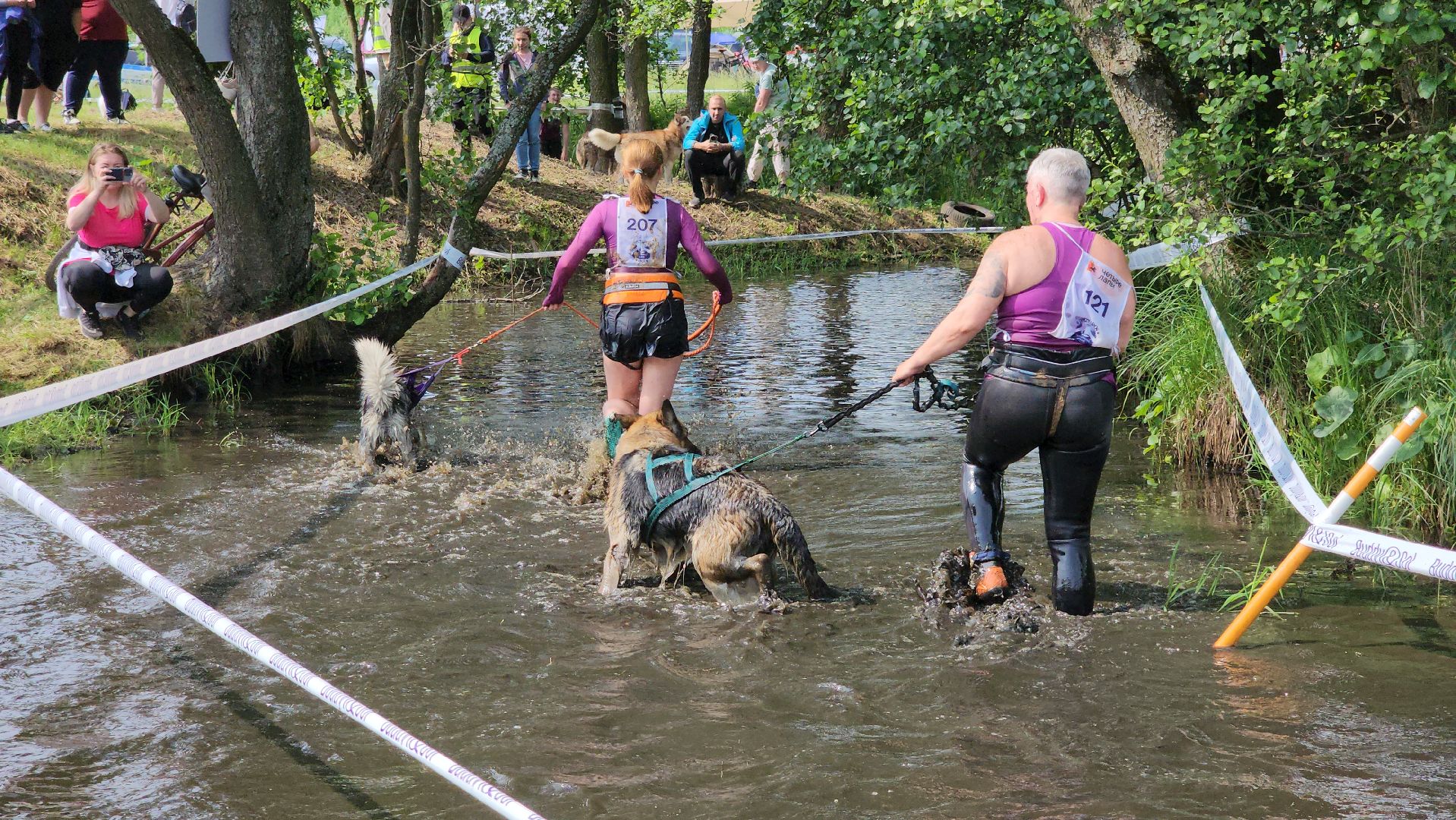 забег с собаками, crazy dog race,  хвостатый драйв, старая купавна, богородский городской округ,