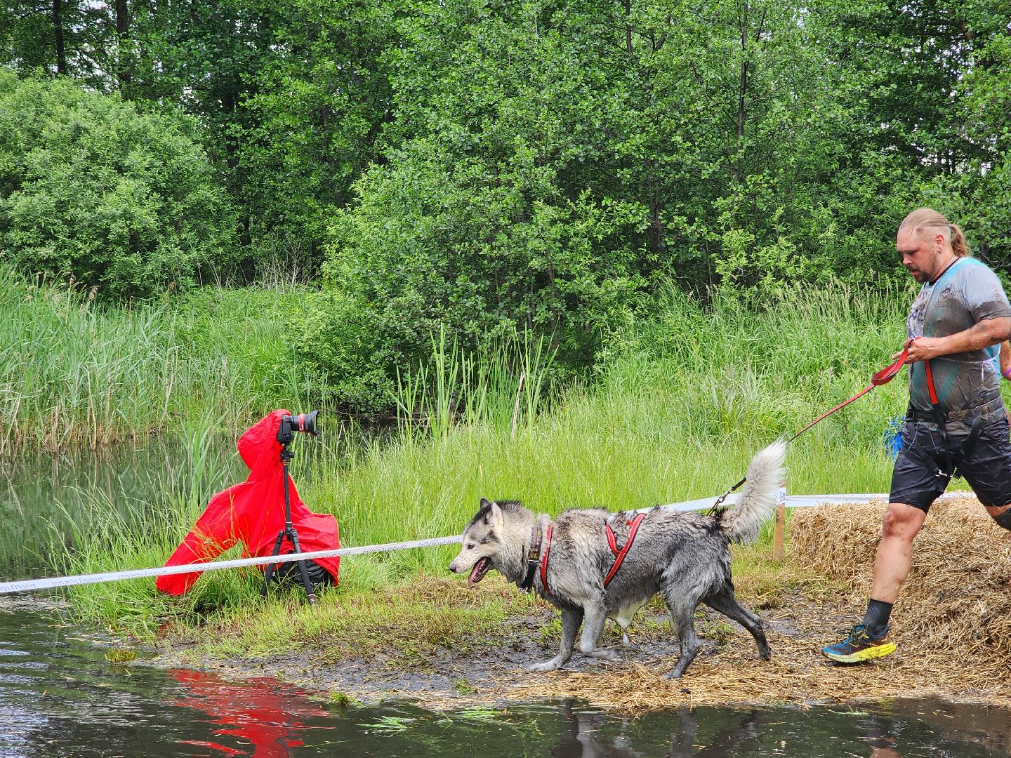забег с собаками, crazy dog race,  хвостатый драйв, старая купавна, богородский городской округ,