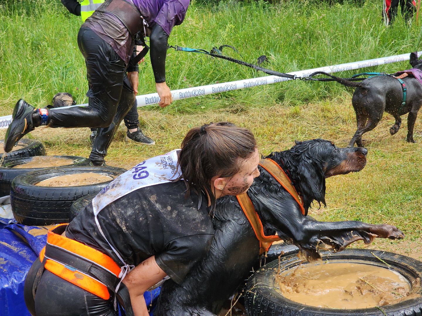 забег с собаками, crazy dog race,  хвостатый драйв, старая купавна, богородский городской округ,