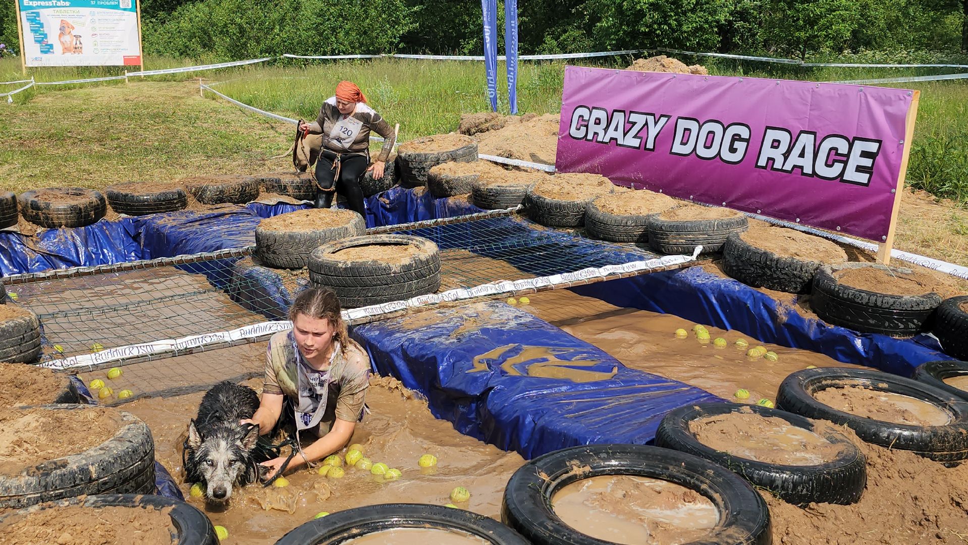 забег с собаками, crazy dog race,  хвостатый драйв, старая купавна, богородский городской округ,