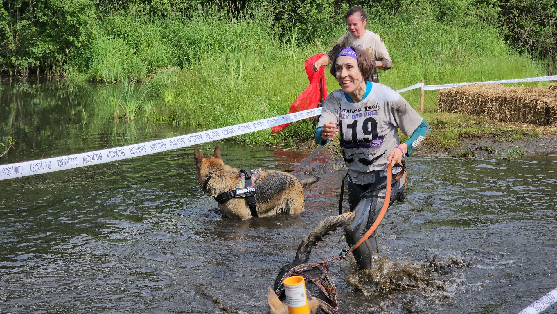 забег с собаками, crazy dog race,  хвостатый драйв, старая купавна, богородский городской округ,