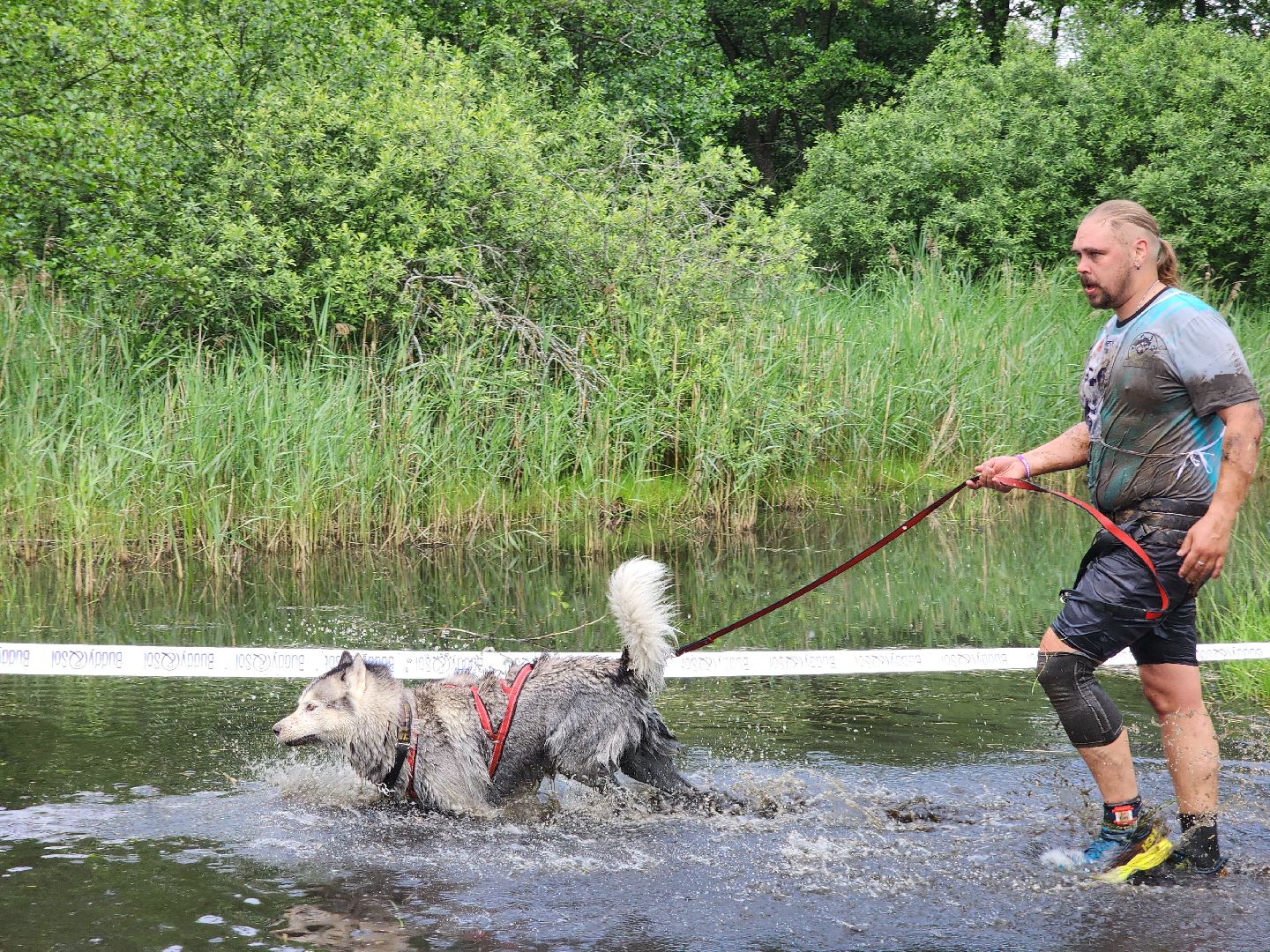 забег с собаками, crazy dog race,  хвостатый драйв, старая купавна, богородский городской округ,
