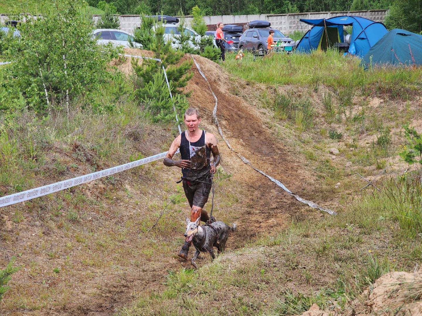 забег с собаками, crazy dog race,  хвостатый драйв, старая купавна, богородский городской округ,