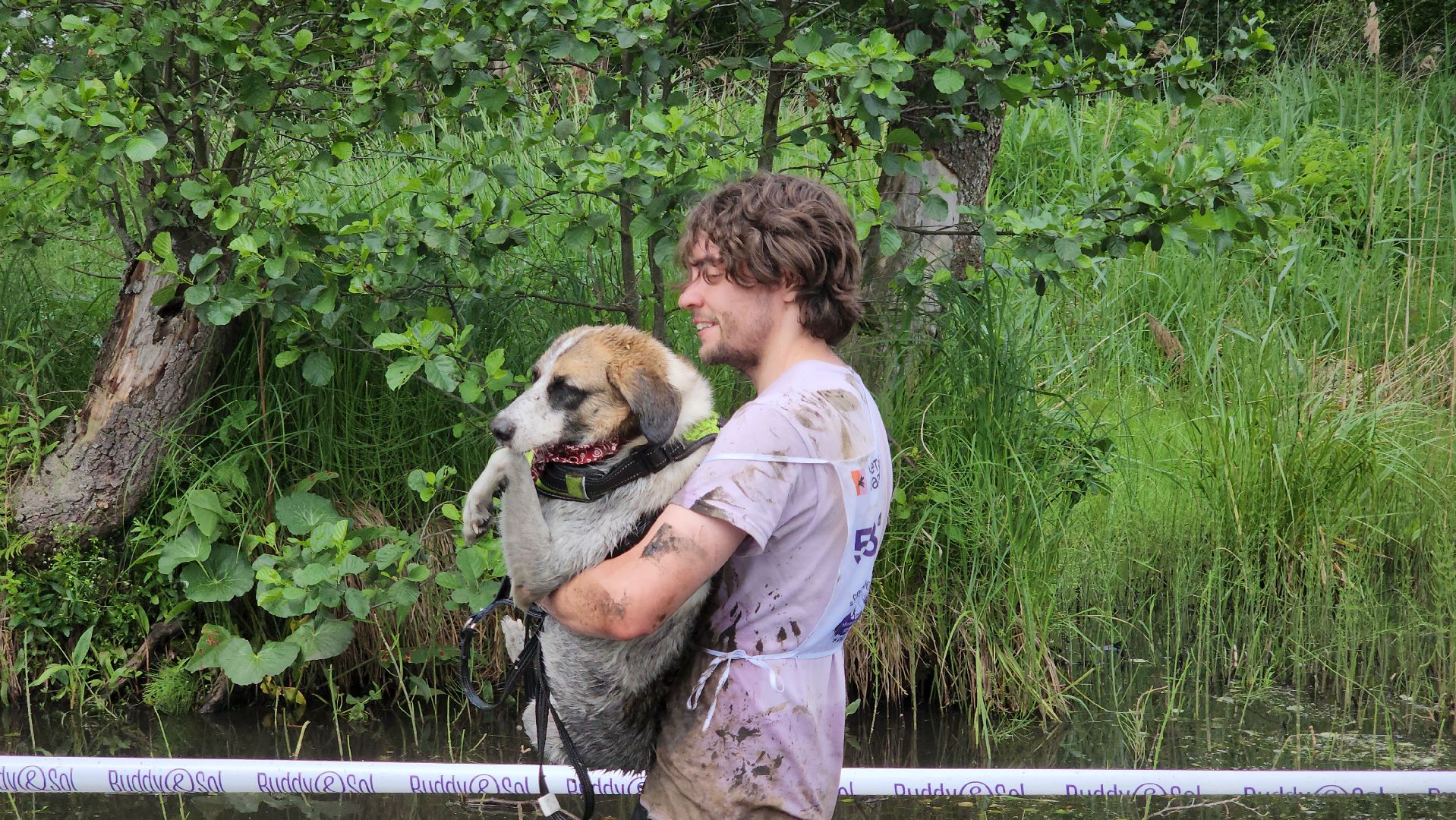 забег с собаками, crazy dog race,  хвостатый драйв, старая купавна, богородский городской округ,