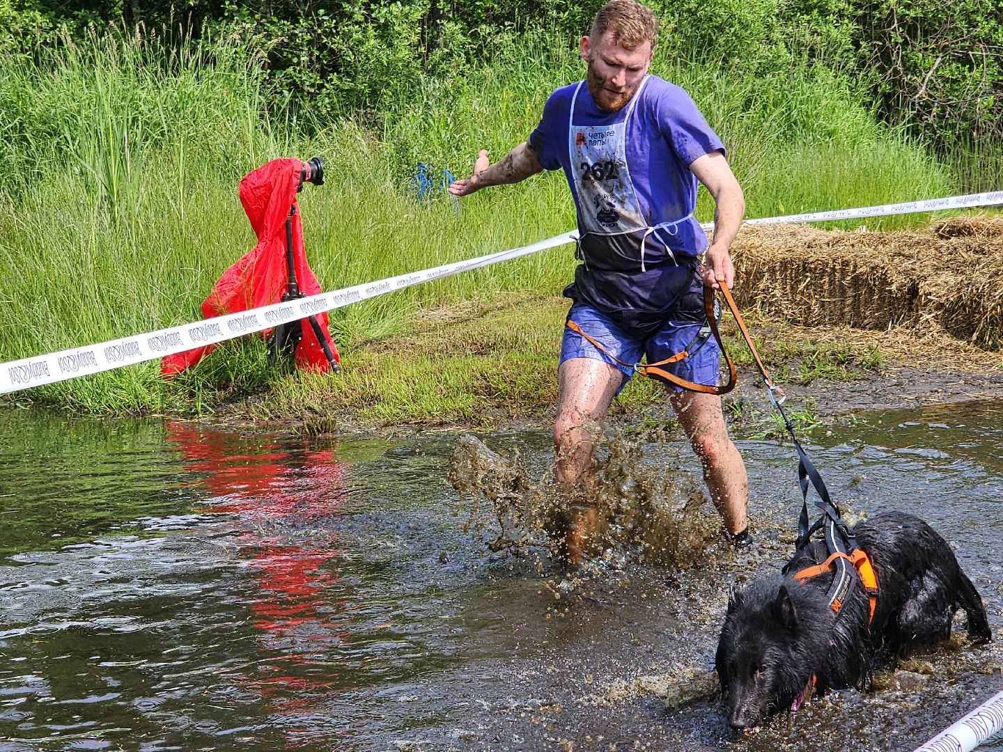 забег с собаками, crazy dog race,  хвостатый драйв, старая купавна, богородский городской округ,
