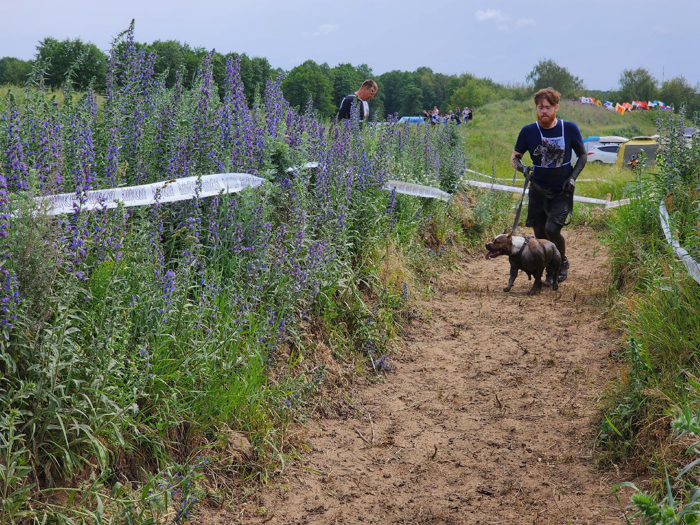 забег с собаками, crazy dog race,  хвостатый драйв, старая купавна, богородский городской округ,