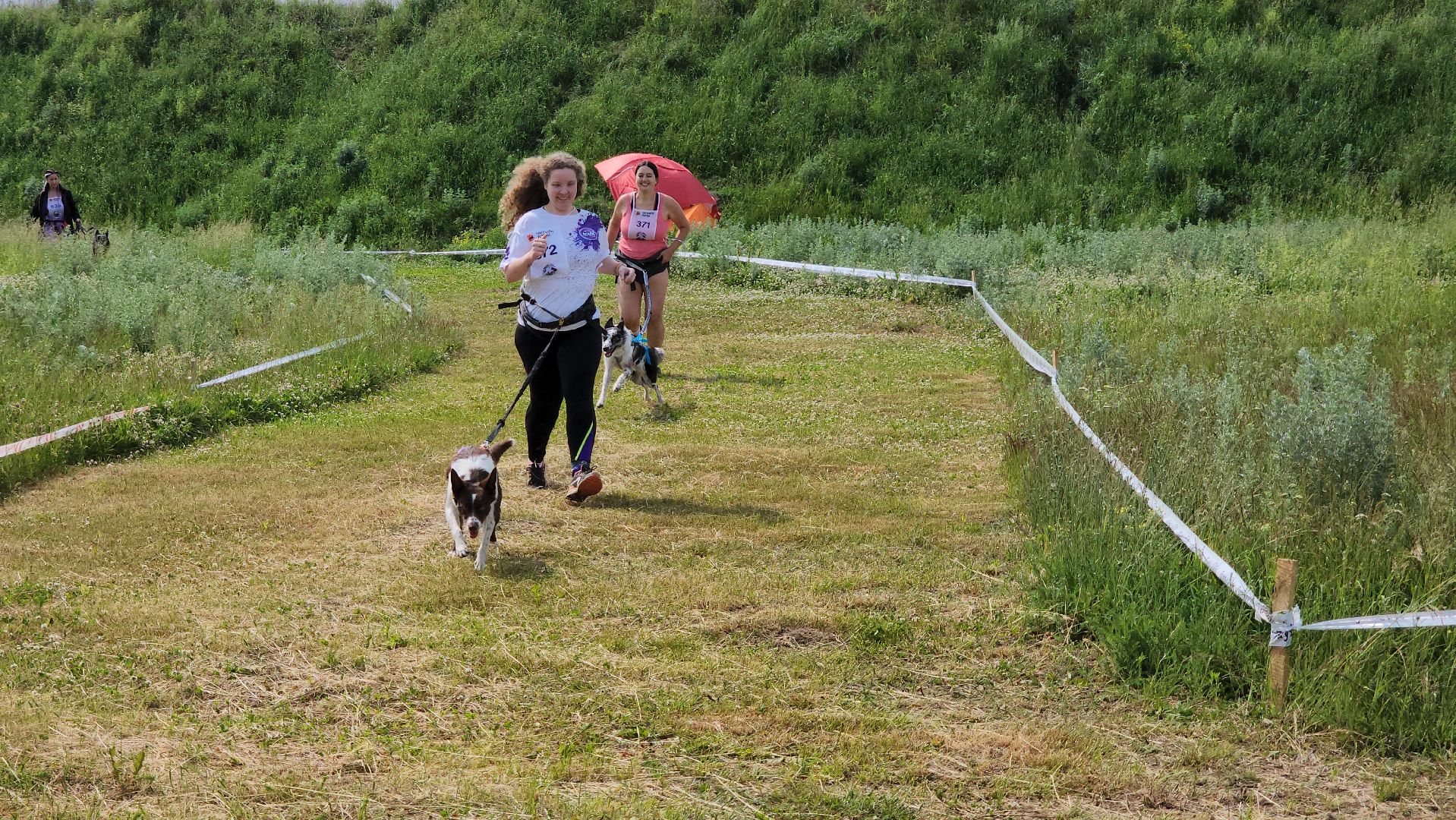 забег с собаками, crazy dog race,  хвостатый драйв, старая купавна, богородский городской округ,