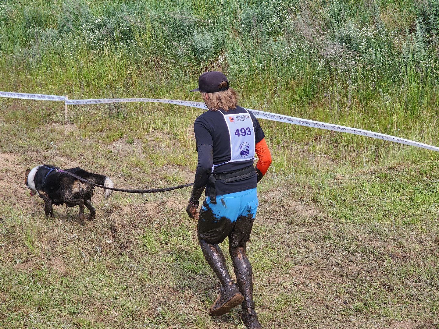 забег с собаками, crazy dog race,  хвостатый драйв, старая купавна, богородский городской округ,